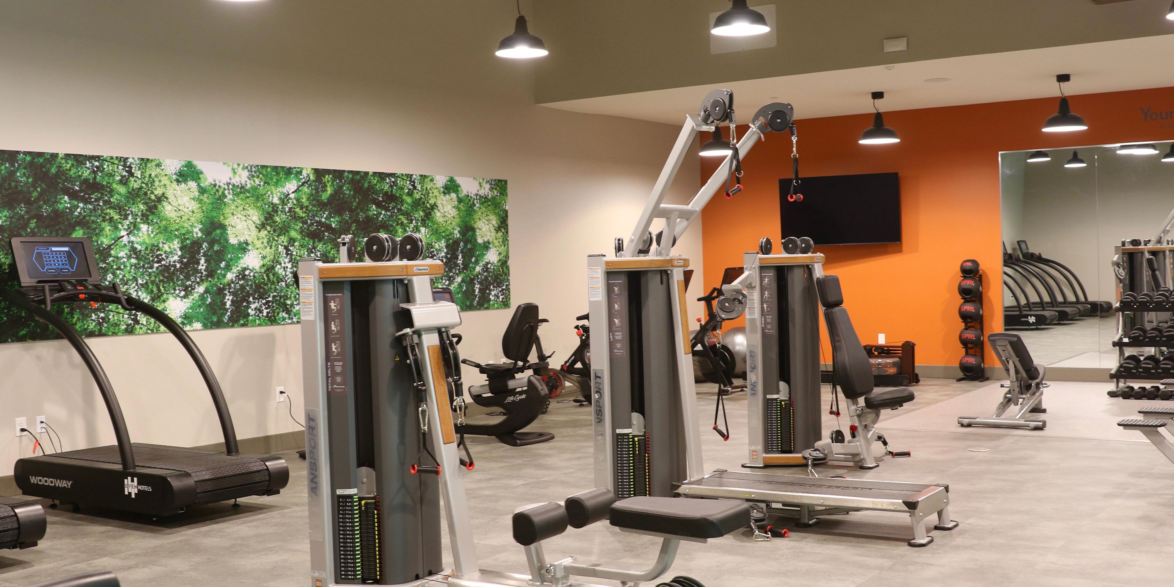 Many workout options available in our modern fitness center.