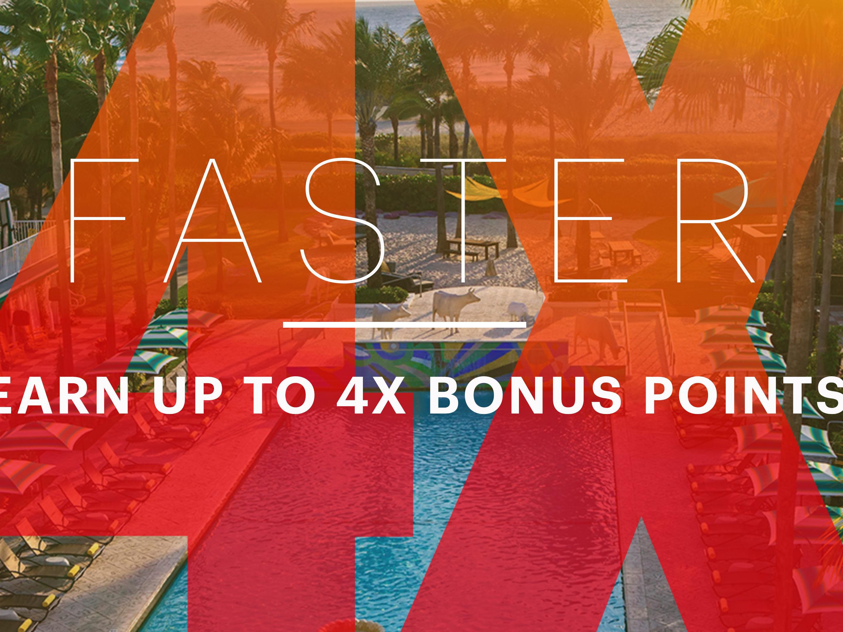 1000 Rewards Bonus Points Per Night