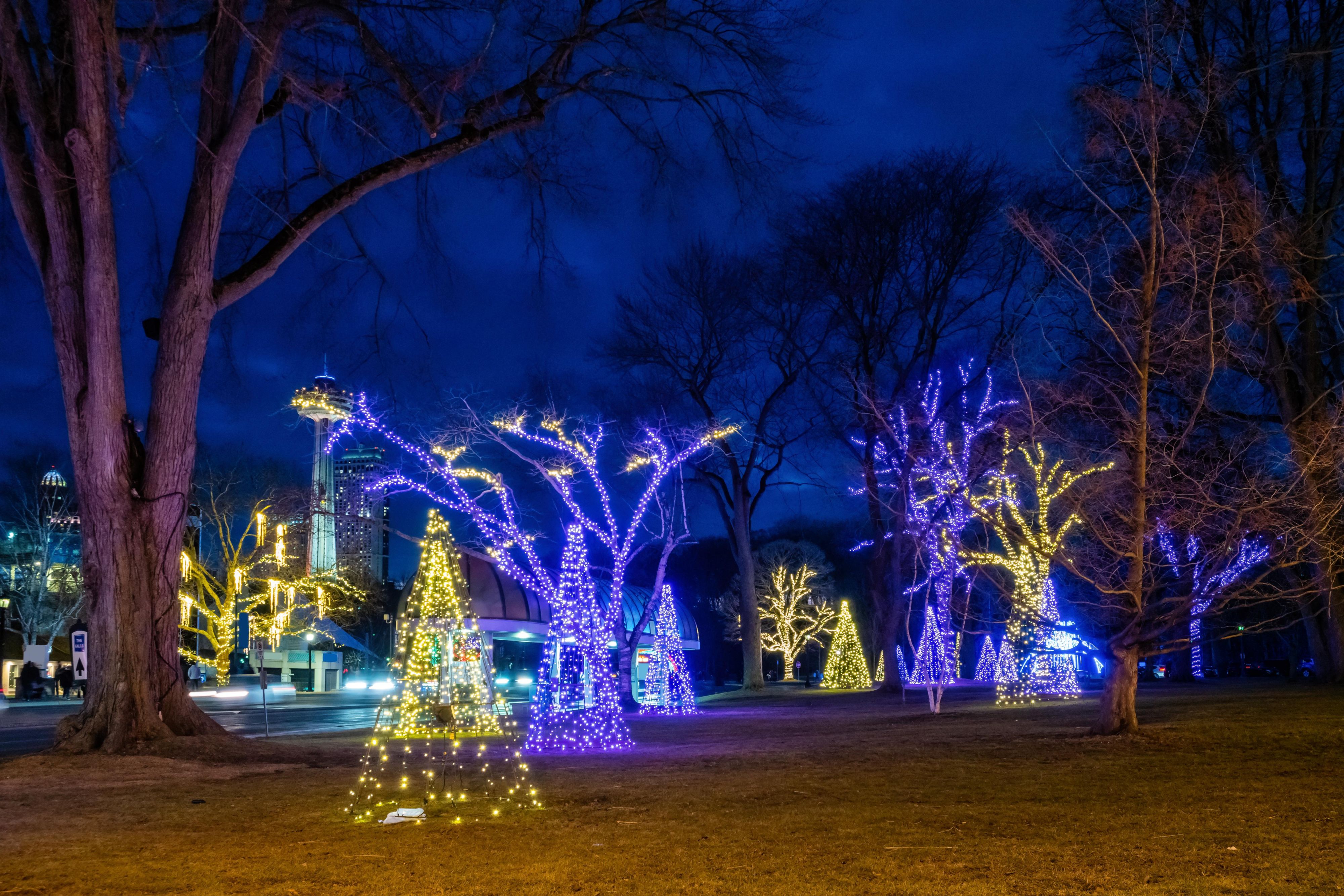 Make the most of winter in Niagara! Bundle up for a stroll through the glowing Winter Festival of Lights at Niagara Falls, then warm up in charming Niagara-on-the-Lake at the Icewine Festival, where snowy streets, sweet sips, and local bites make for a cozy winter escape with family and friends.