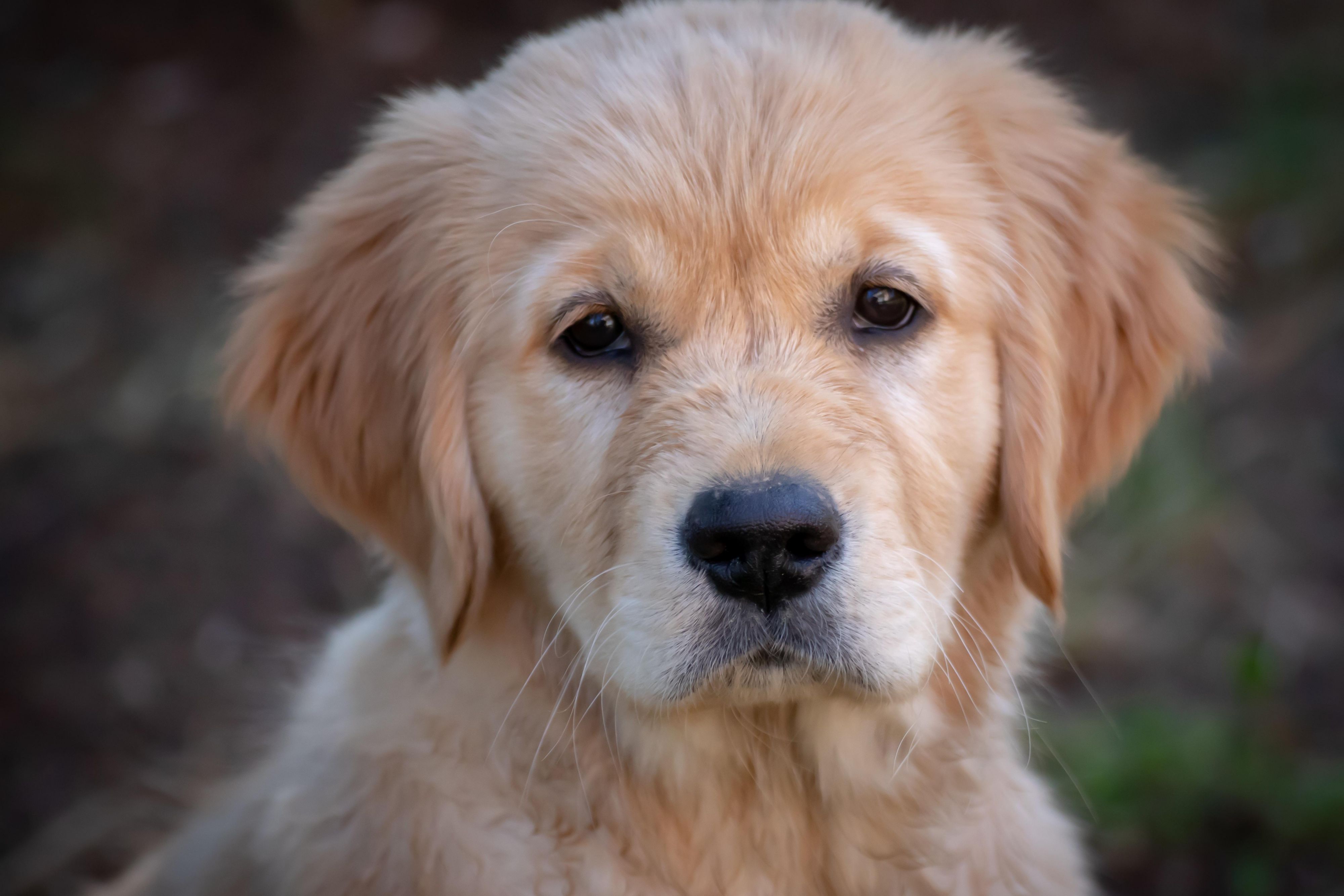Got a furry friend? There's no need to worry - our hotel is pet friendly! Pet deposit required.