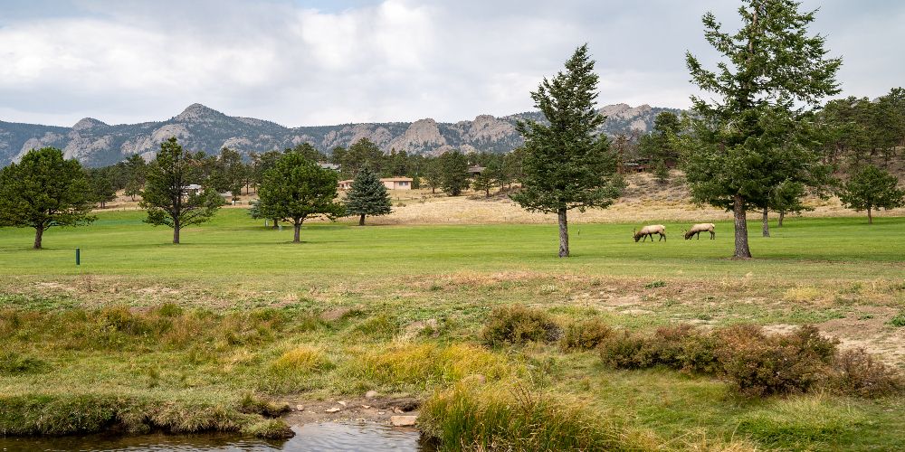 Golf course in Estes Park Colorado