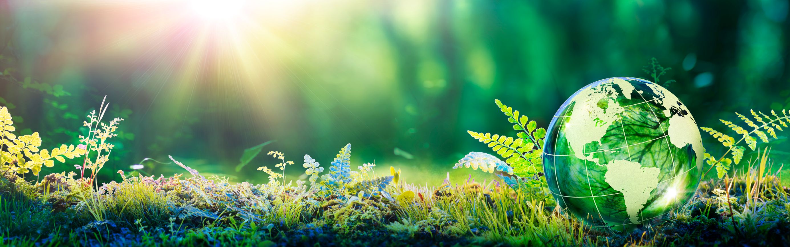 Go green and help the world with sustainability