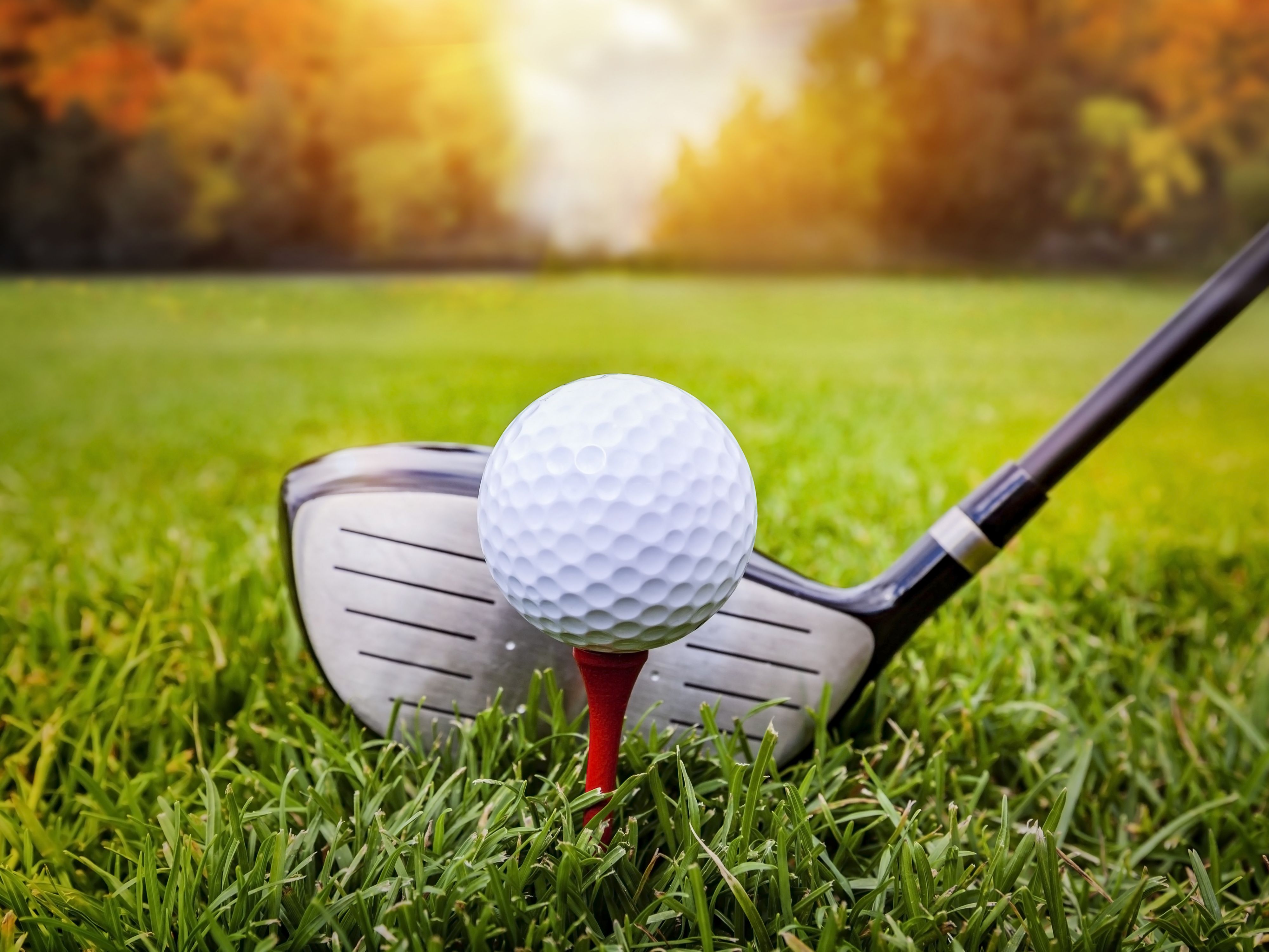Golf ball on tee