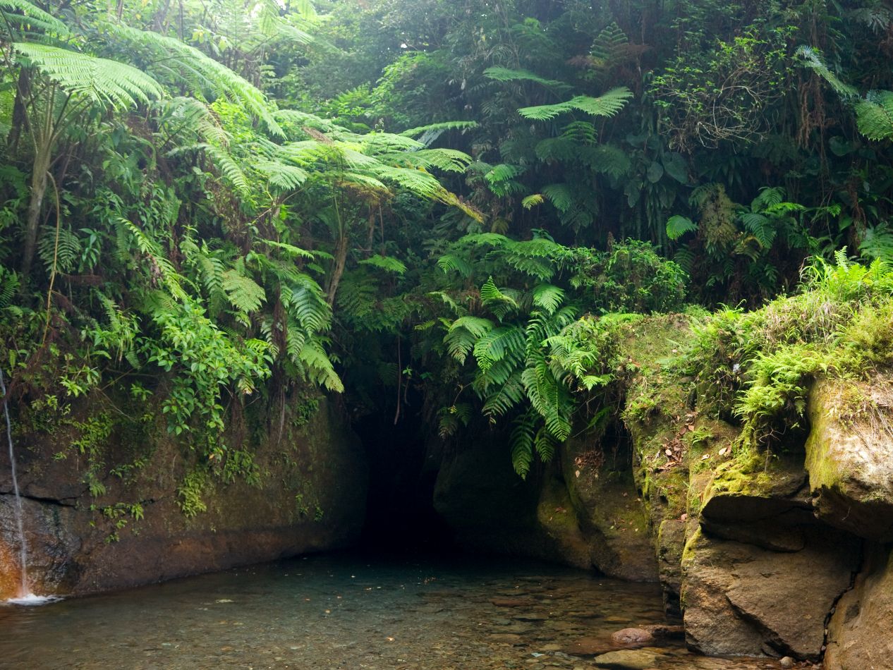 Titou Gorge on Island of Dominica