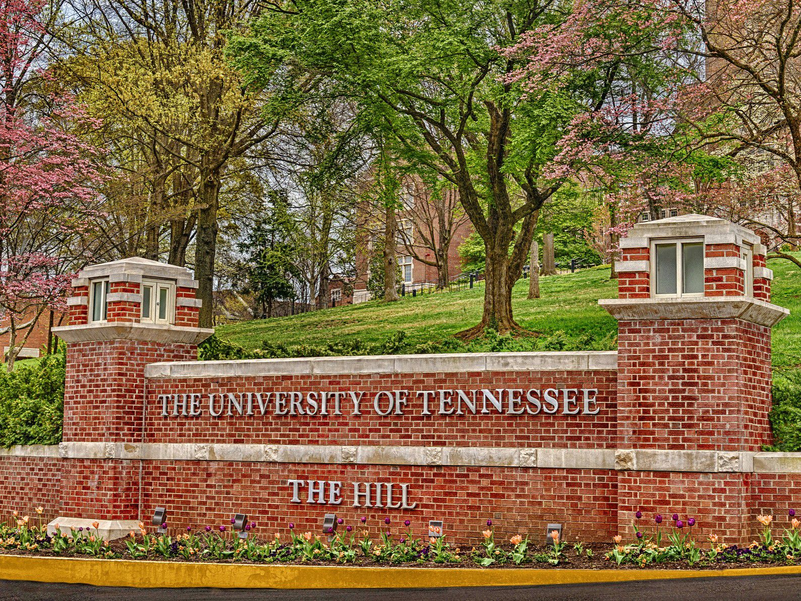 university of tennessee