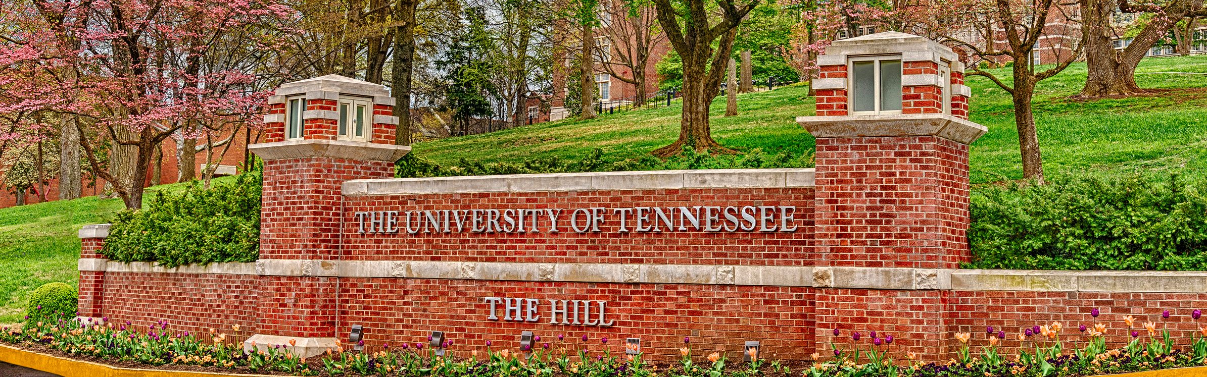 University of Tennessee