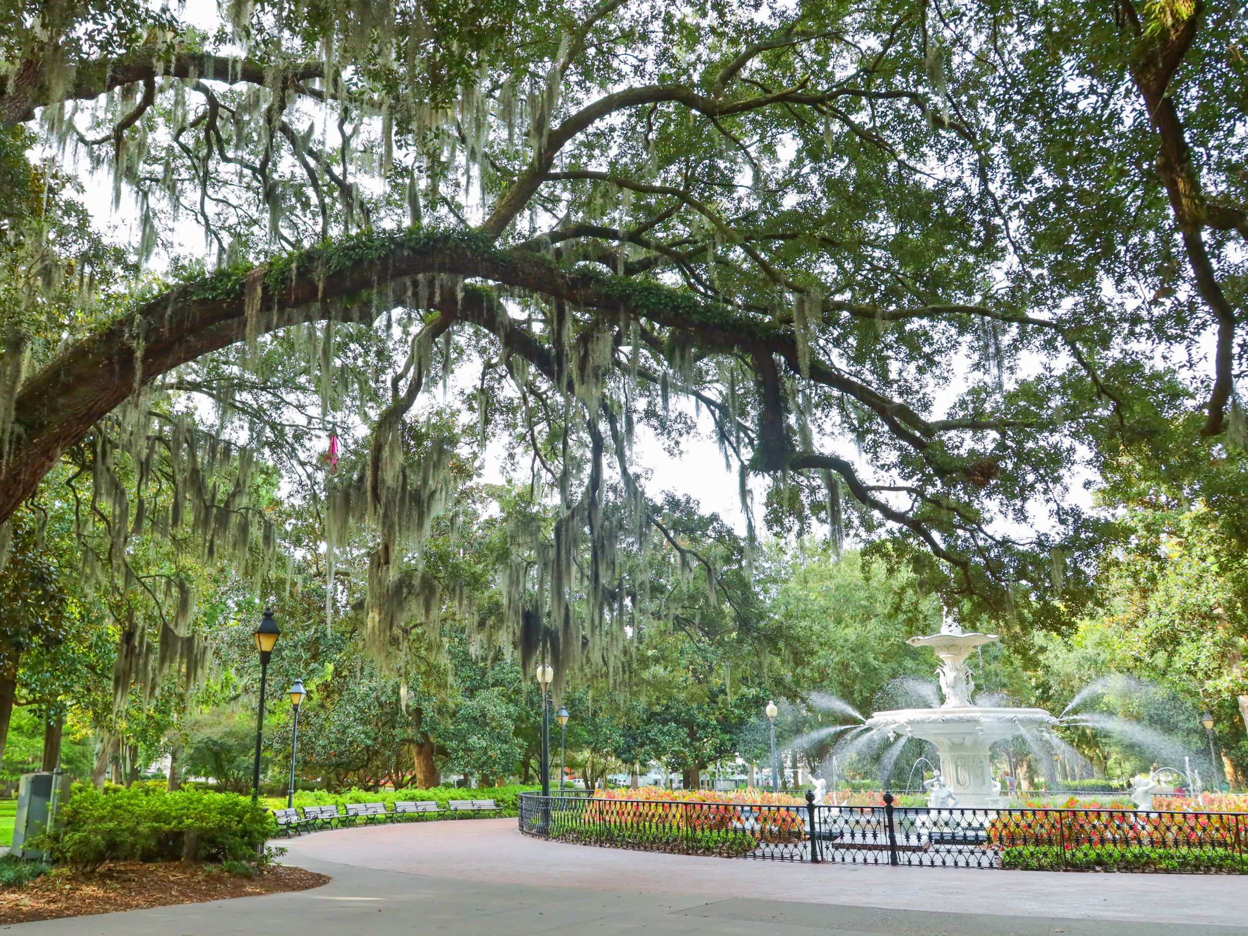 Poolside in Savannah