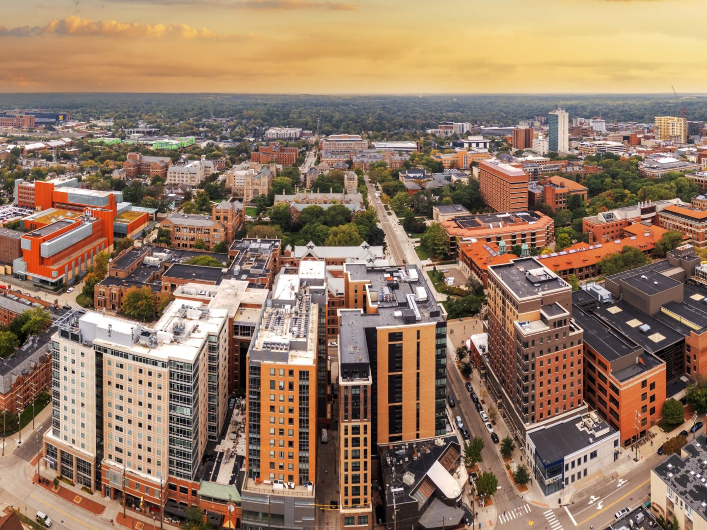 ANN ARBOR, MICHIGAN
