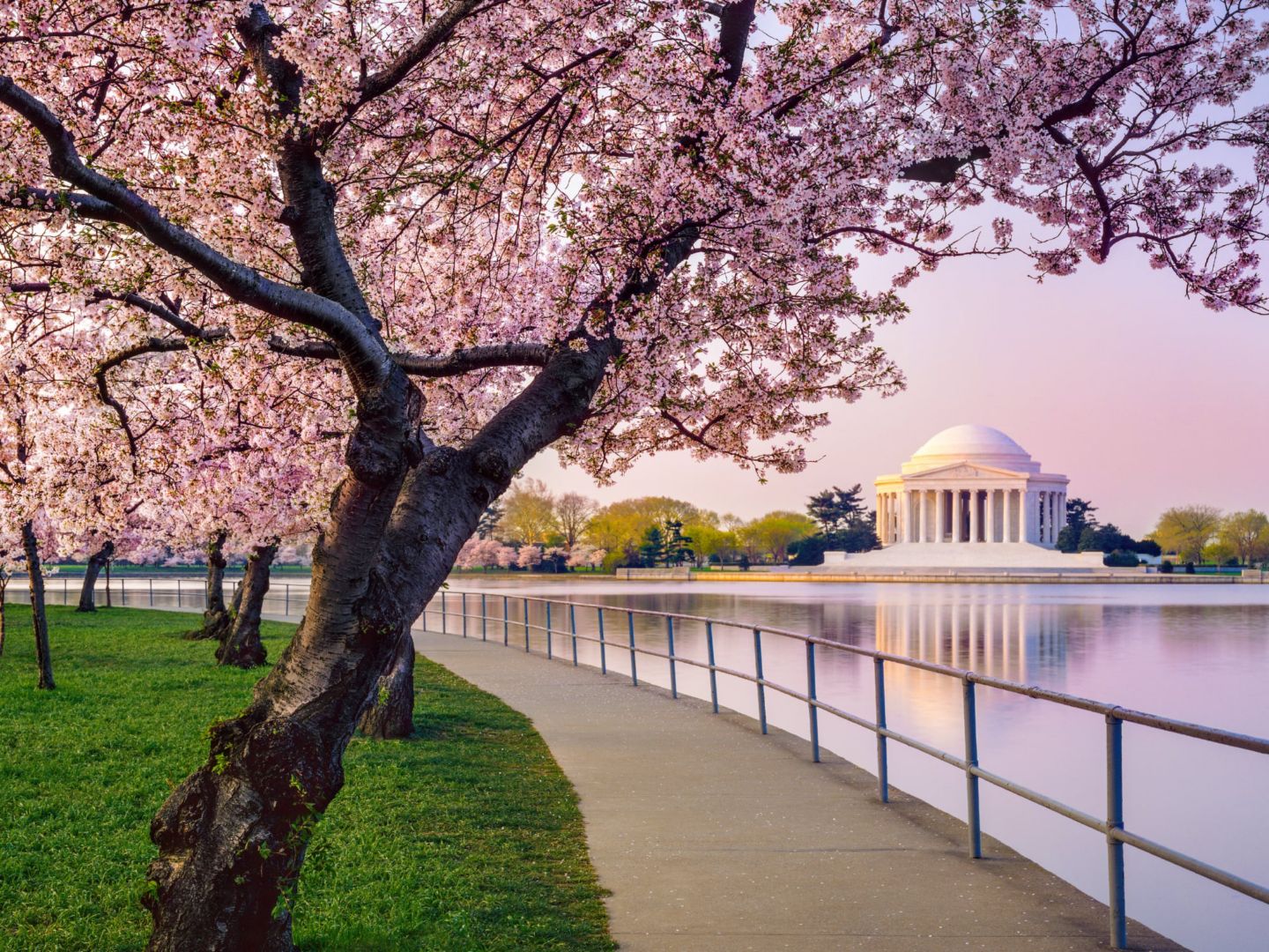WASHINGTON D.C., UNITED STATES