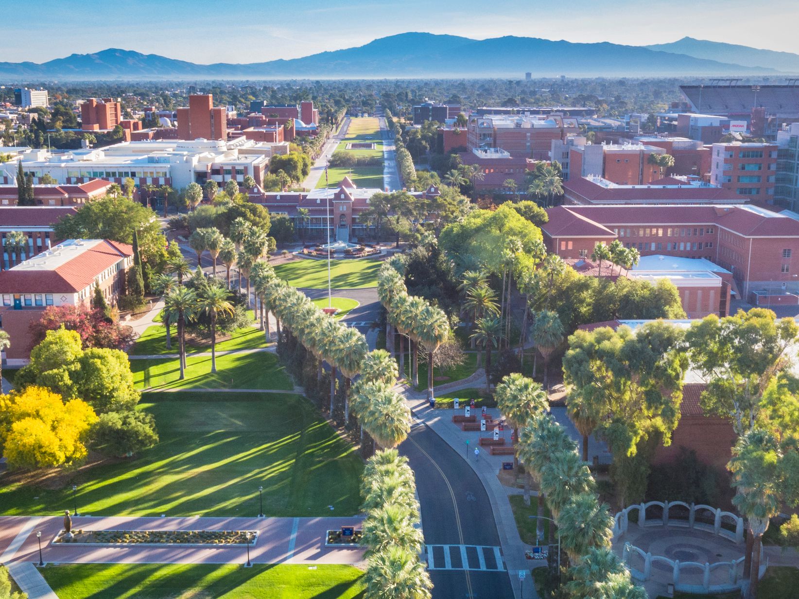 University Of Arizona