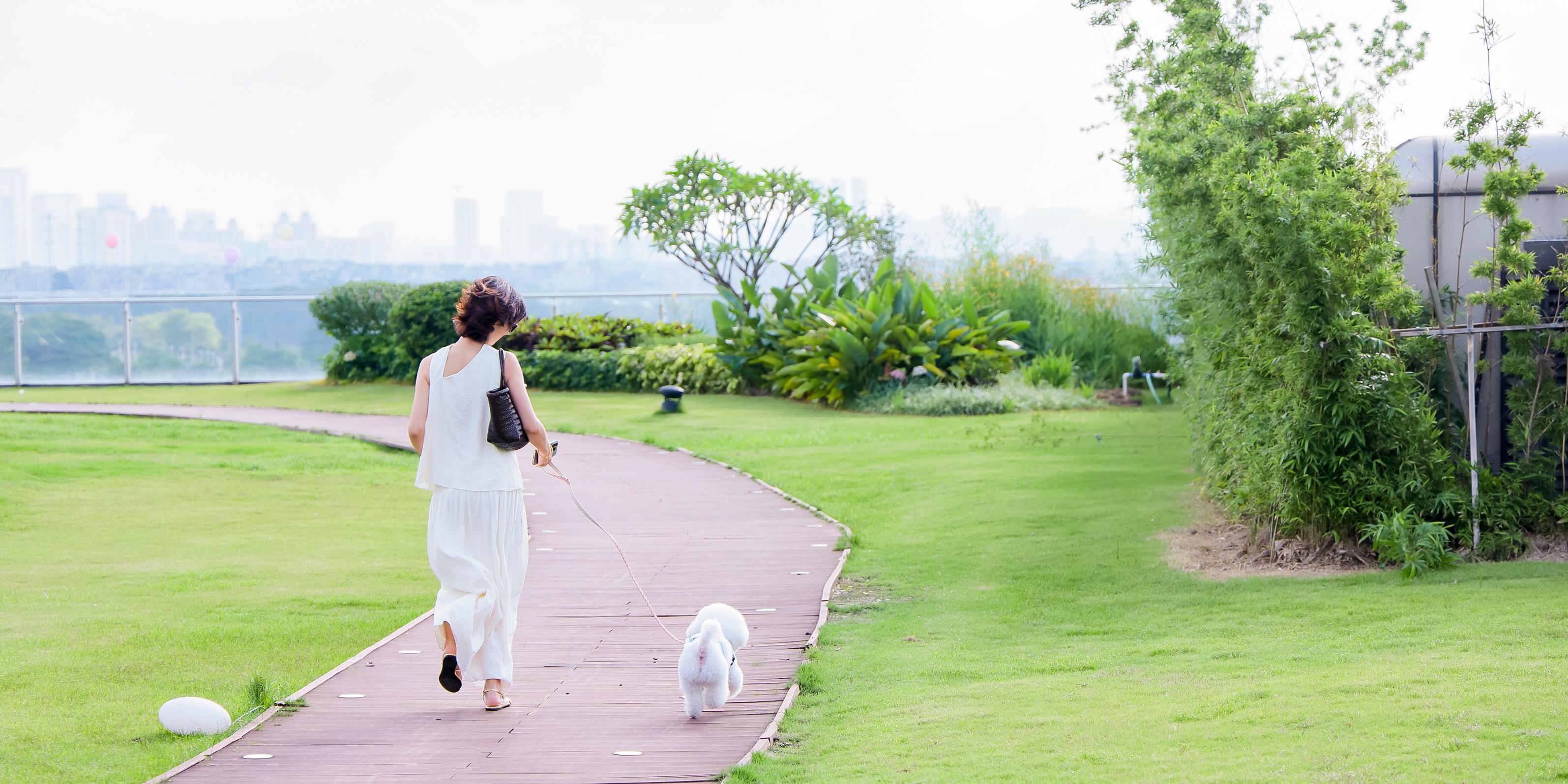 Luxury Hotel in Guangzhou Vignette Collection The Xanadu Guangzhou