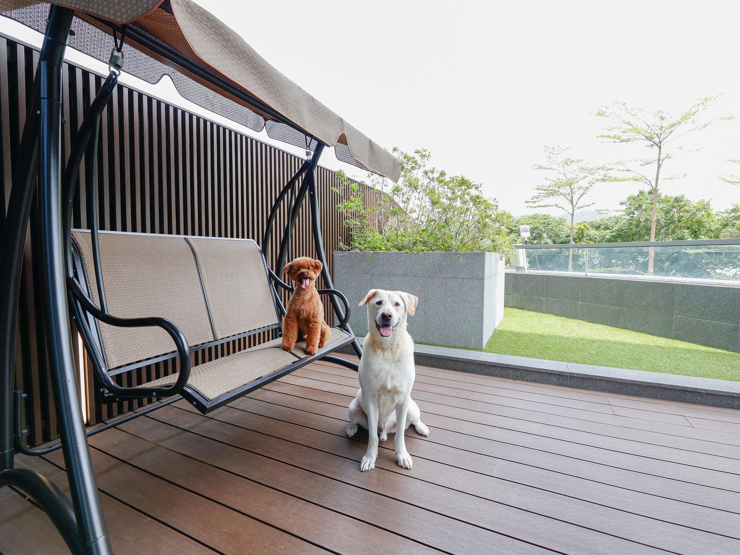 Guest Room - Suite Terrace Access Dog Friendly