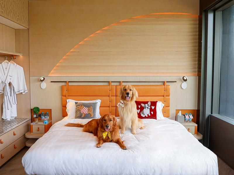 Guest Room - Suite Terrace Access Dog Friendly