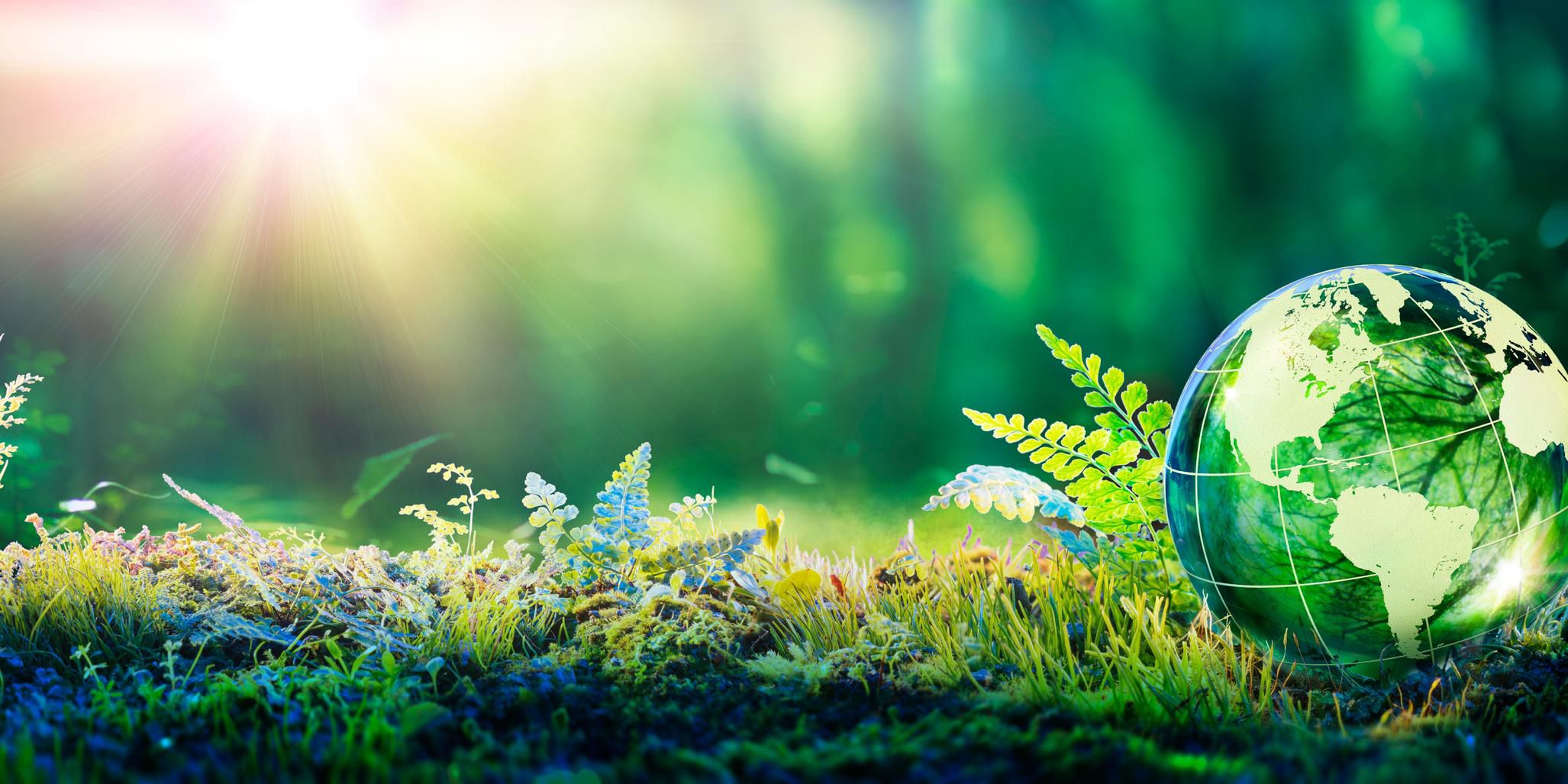 As Lima’s first hotel free of single-use plastics, we lead with sustainability. Our zero-waste management program, responsible sourcing, and ocean conservation efforts ensure a stay that’s as mindful as it is luxurious. At SOUMA, every choice supports a cleaner, more conscious future.