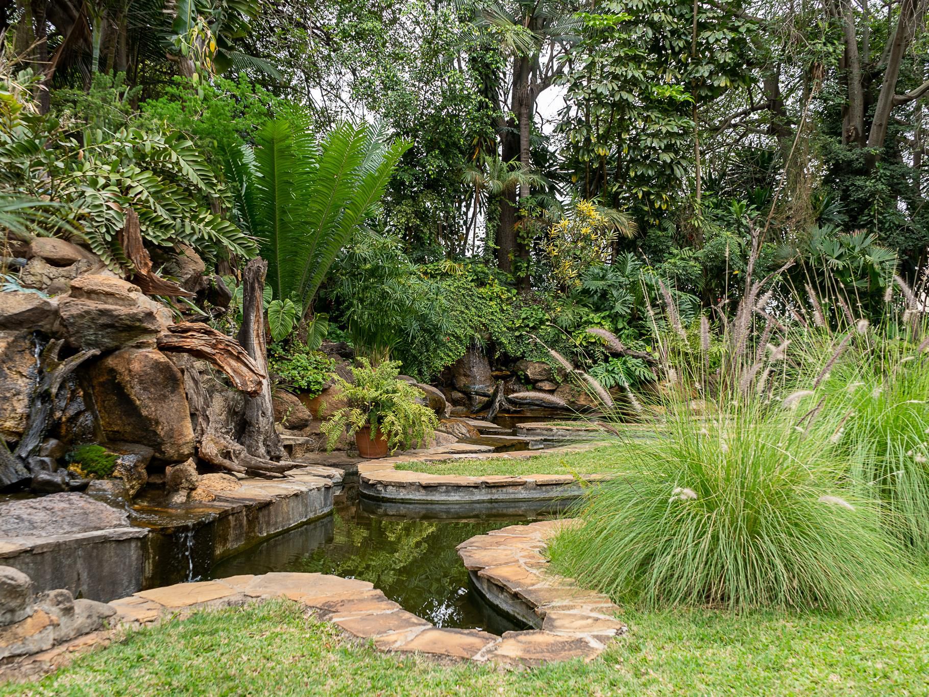 An urban garden sanctuary