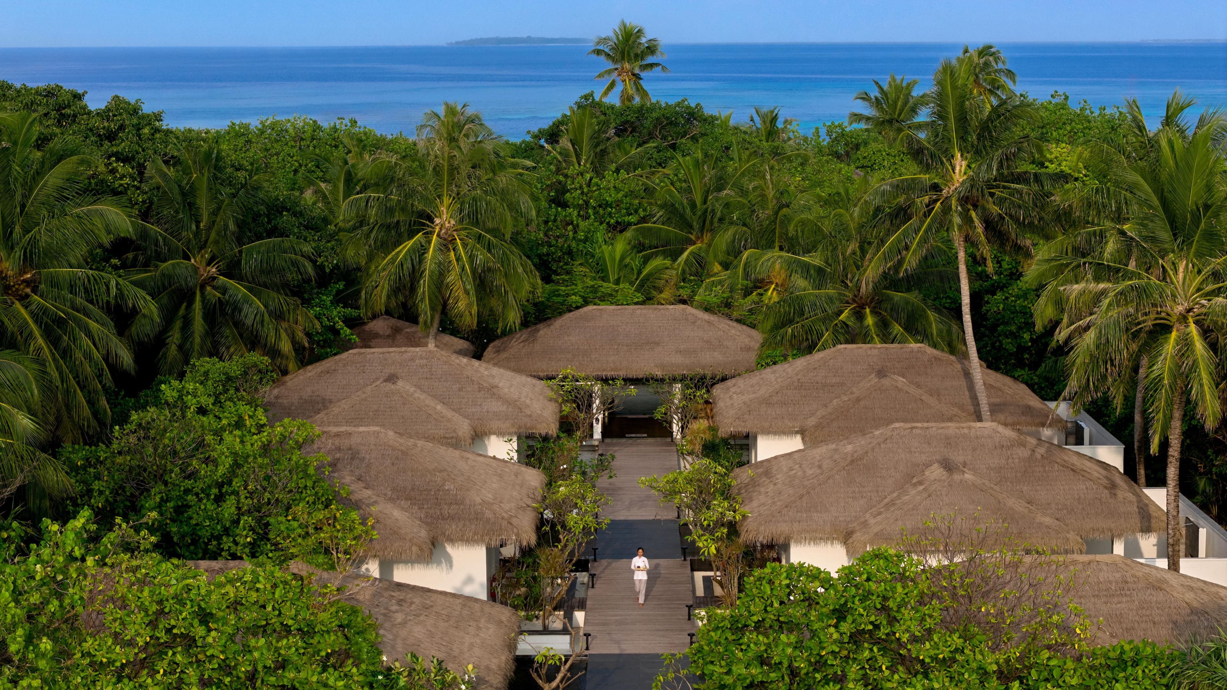 فيلات علاجية بالمنتجع الصحي تقع داخل أوراق الشجر الاستوائية