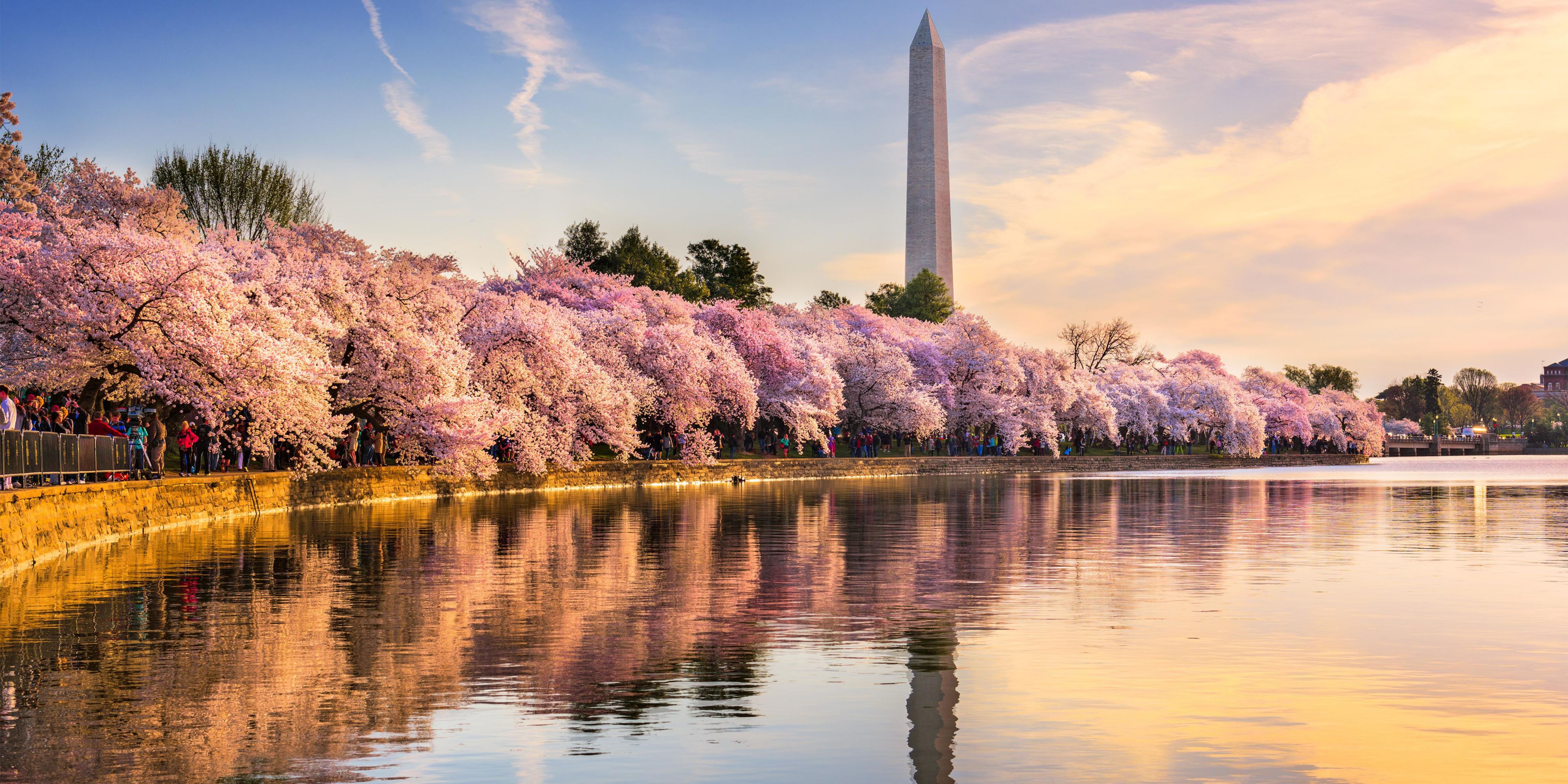 Our hotel is a hub for all the things to do in Washington, DC. It's a playground out here for history buffs, food lovers, art aficionados, concert-goers, and naturalists alike. Go for a walk and see what you find. A new adventure is around the corner.