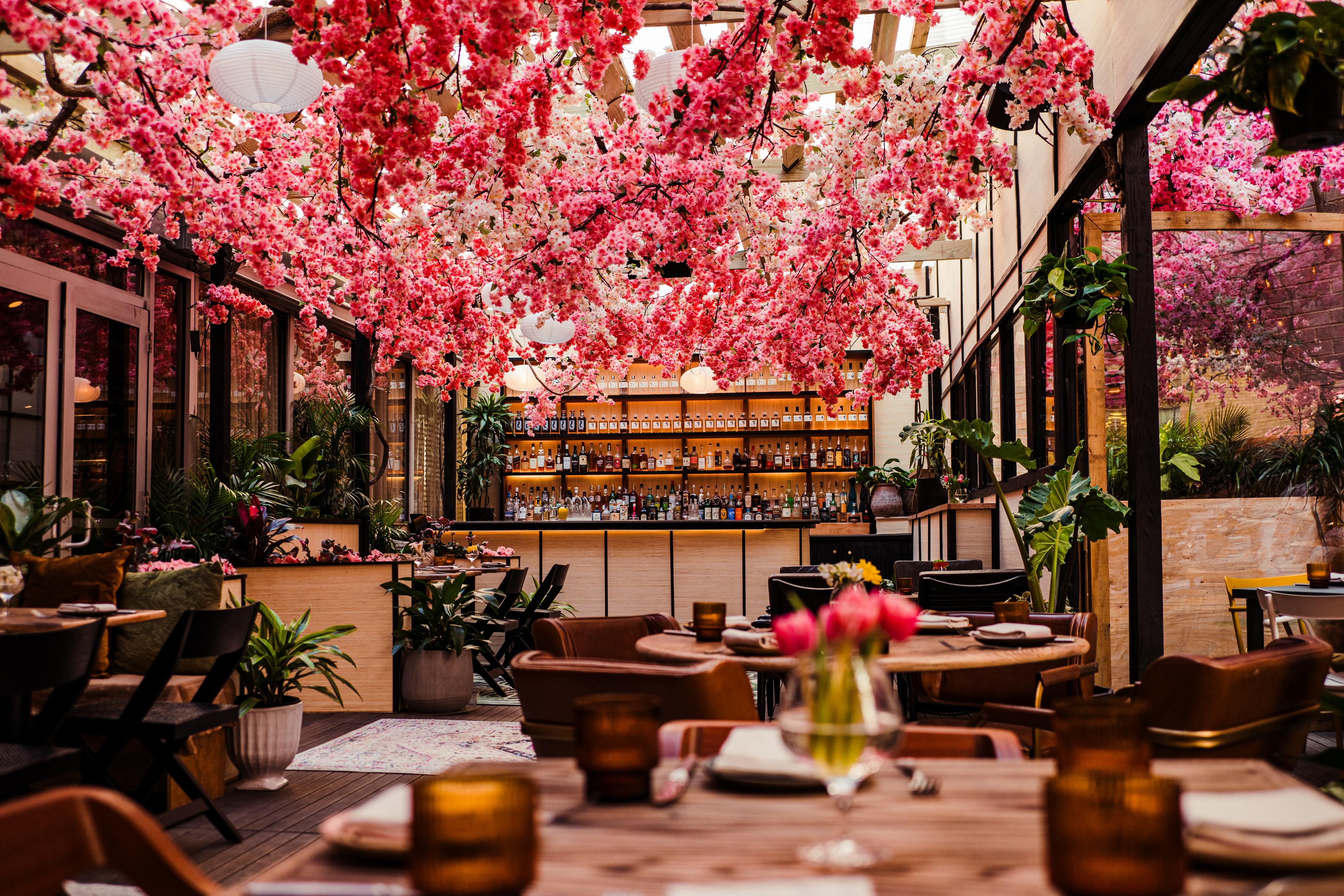 Cherry Blossoms at Mercy Me