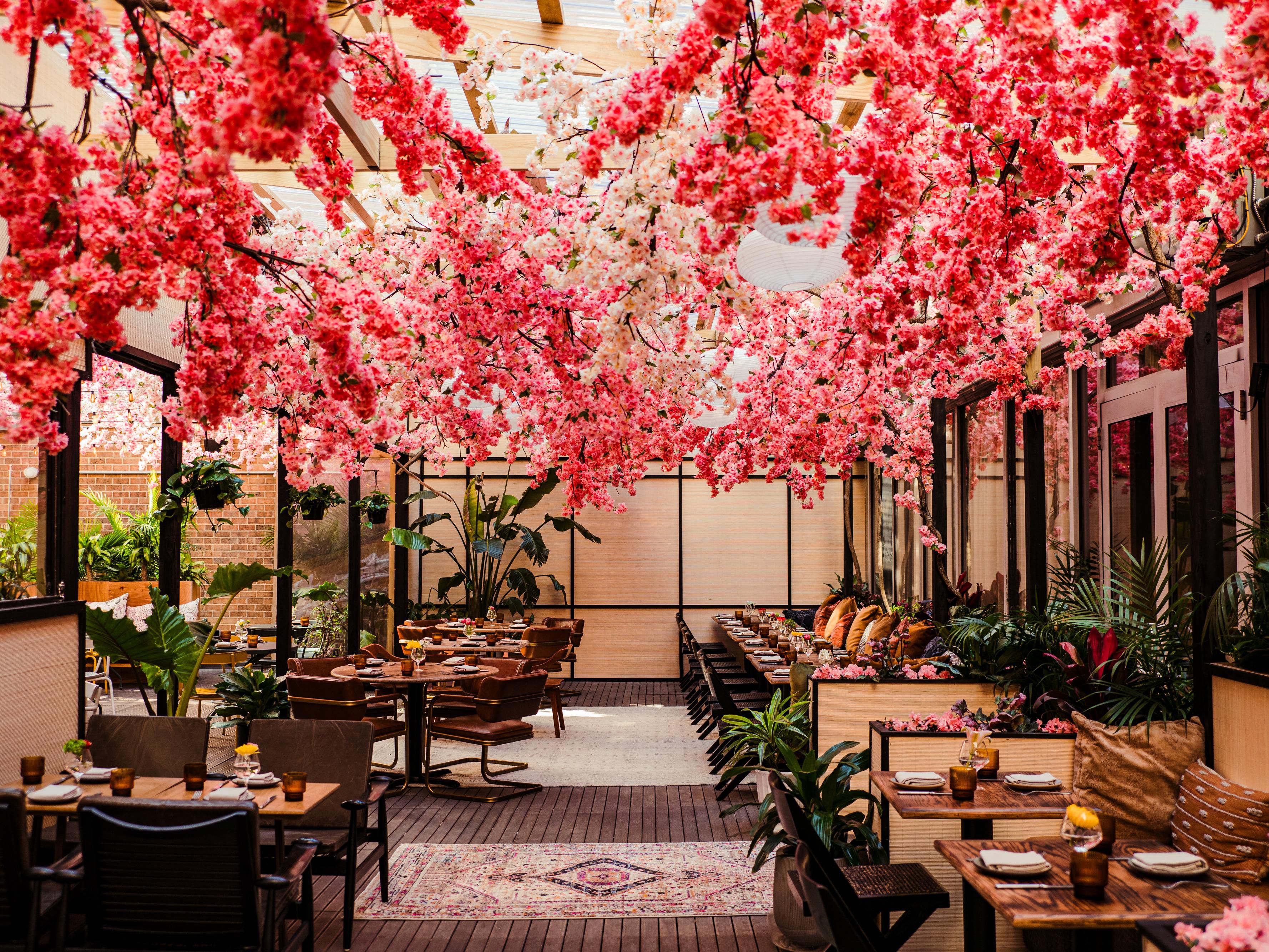Cherry Blossoms at Mercy Me