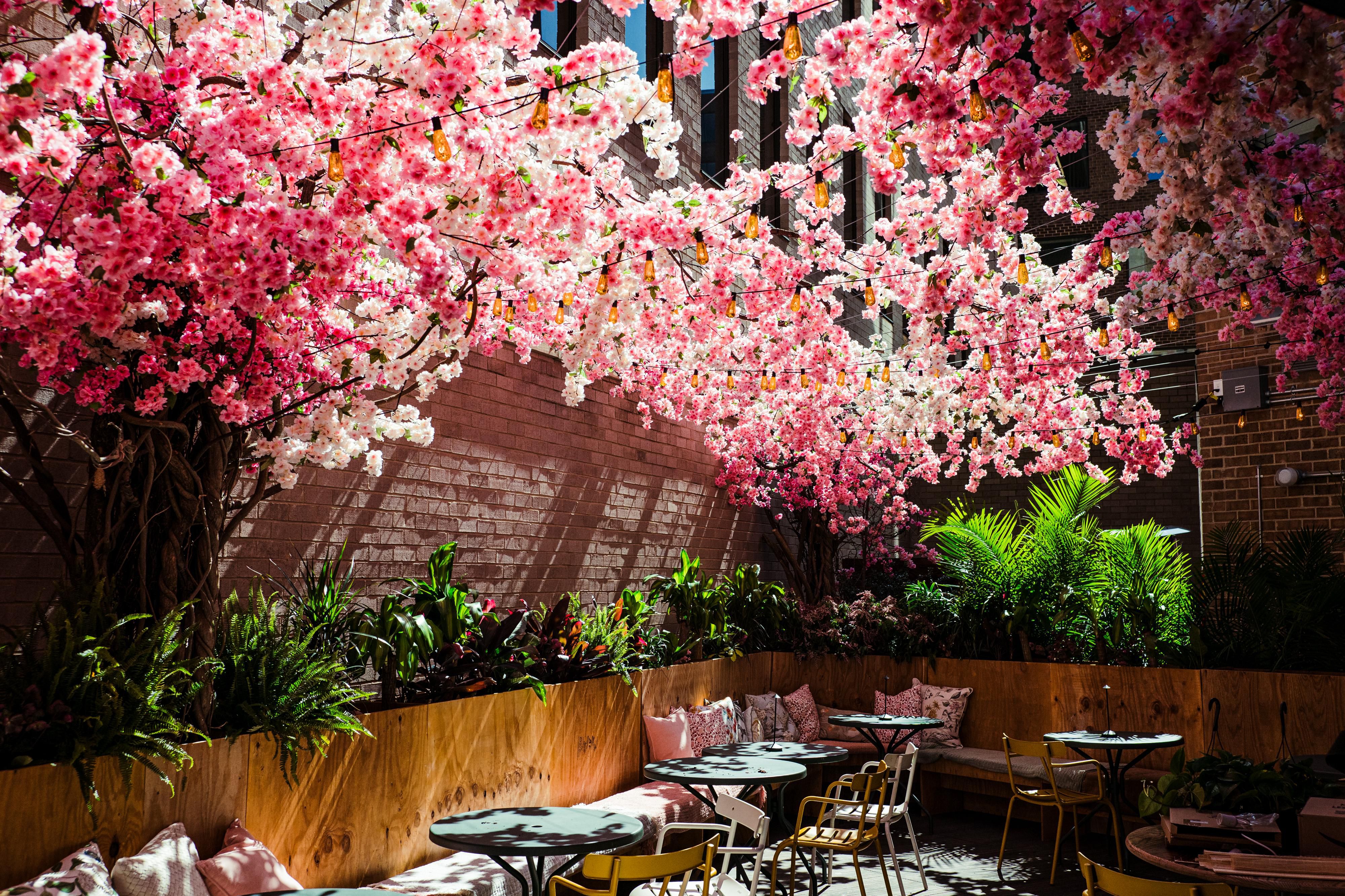 Mercy Me restaurant at Yours Truly