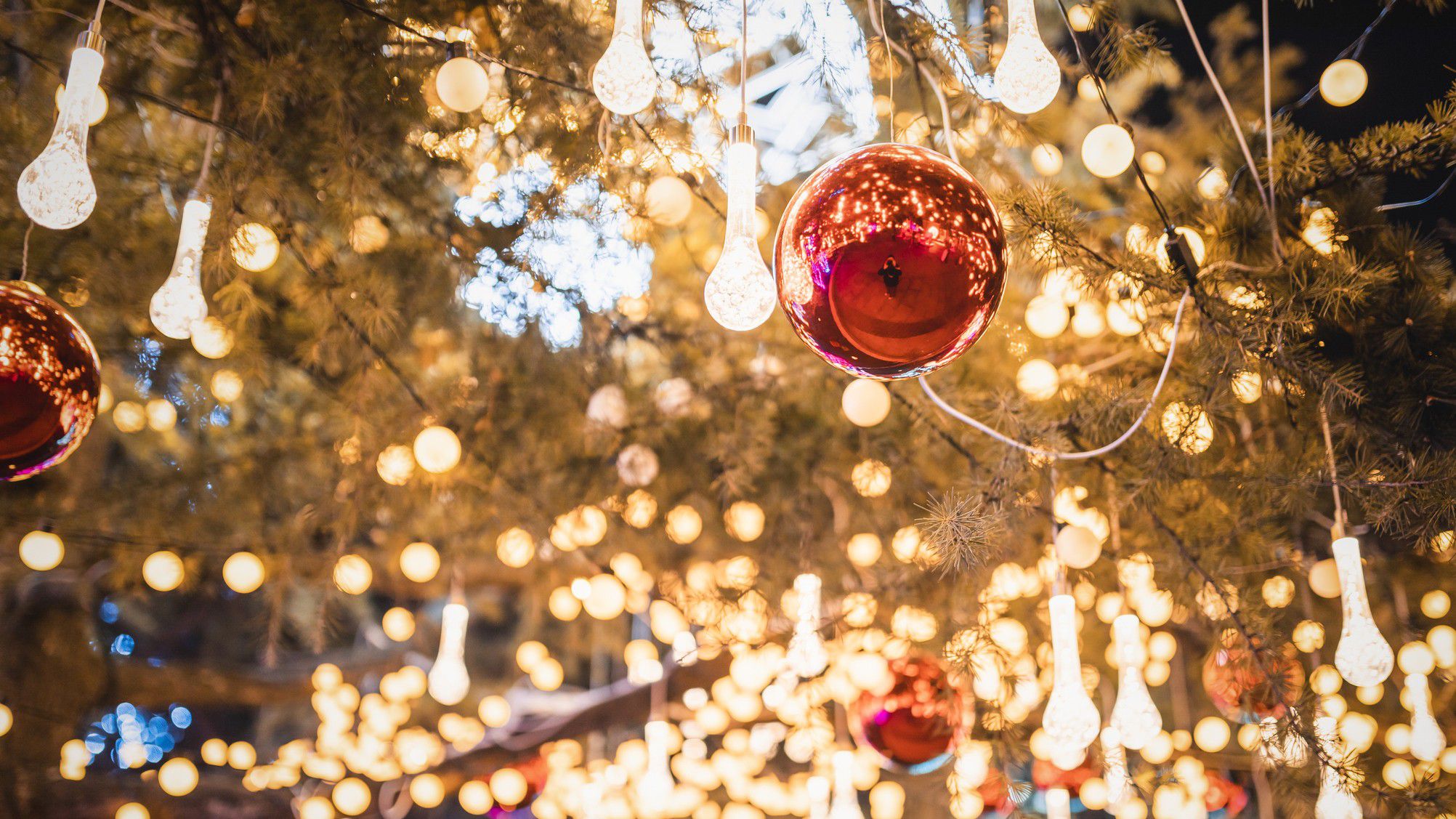 Red Christmas ornament on a tree