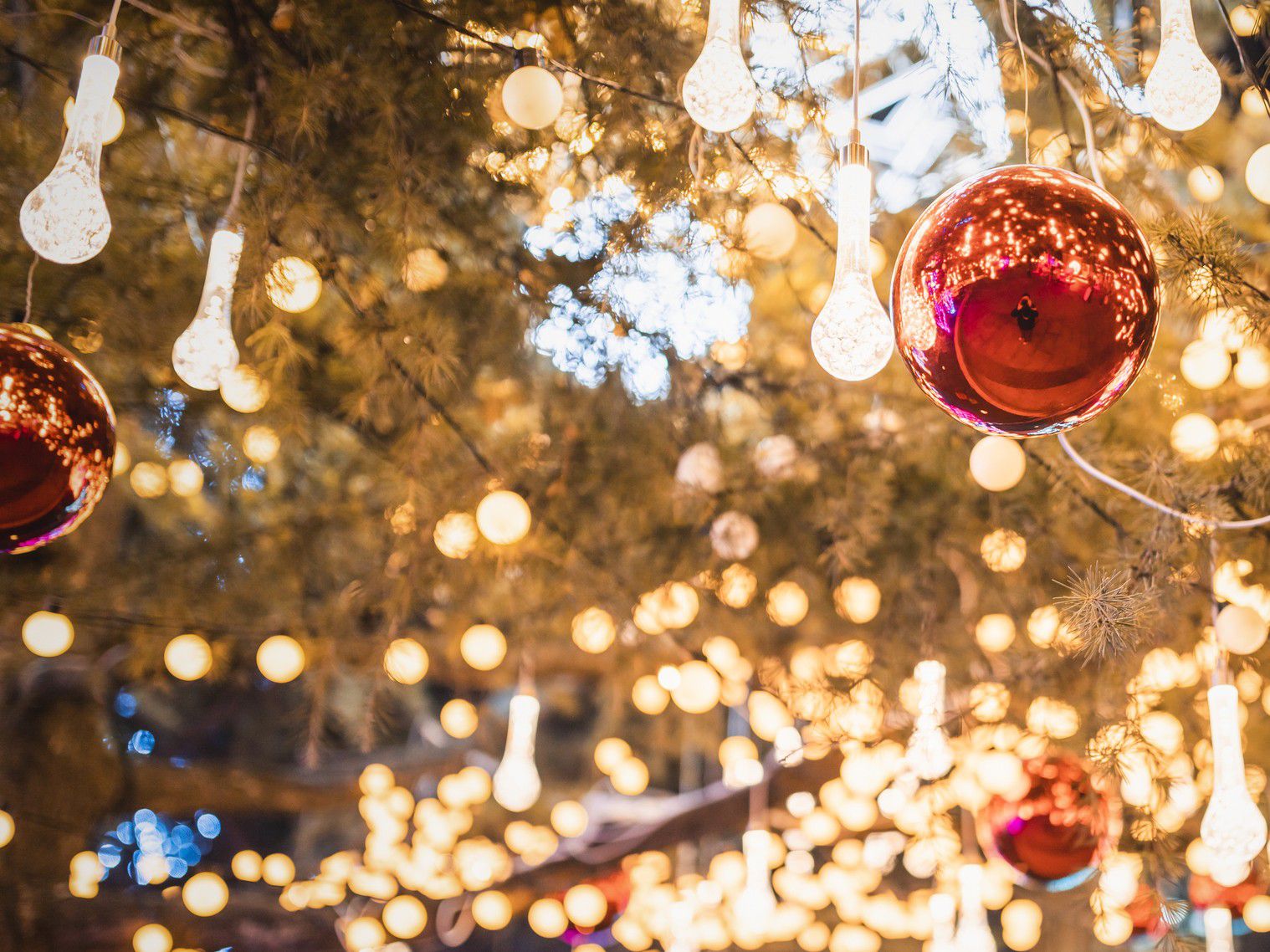 Christmas ornament hanging from a tree