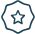 Vip Status Icon