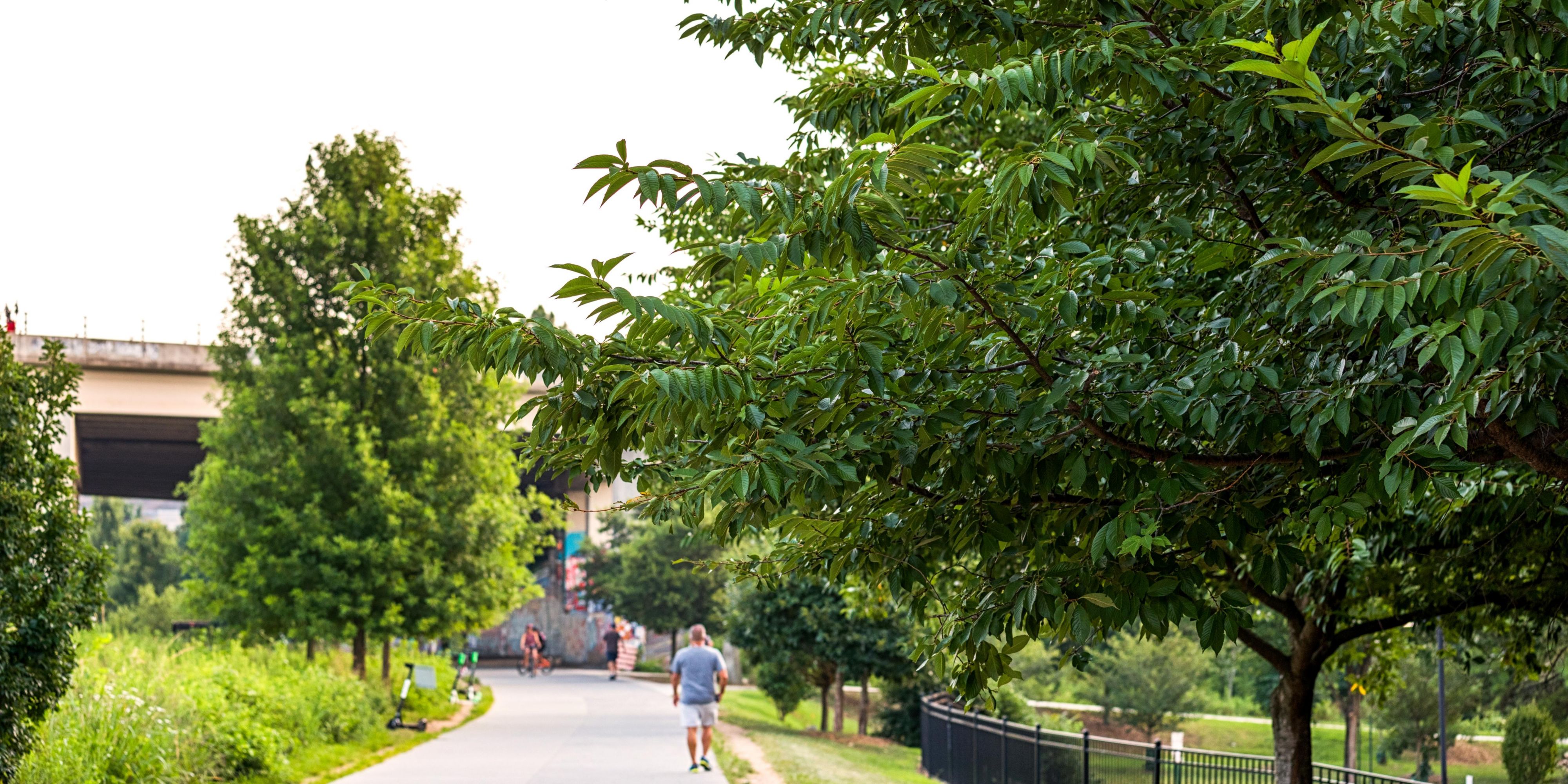Head out on the town like a local when you stay at our Atlanta, GA, hotel. Ponce City Market sits a convenient half-mile walk from our location, with the Atlanta Beltline just steps away. Piedmont Park awaits nearby, offering an additional couple miles of urban exploration. 