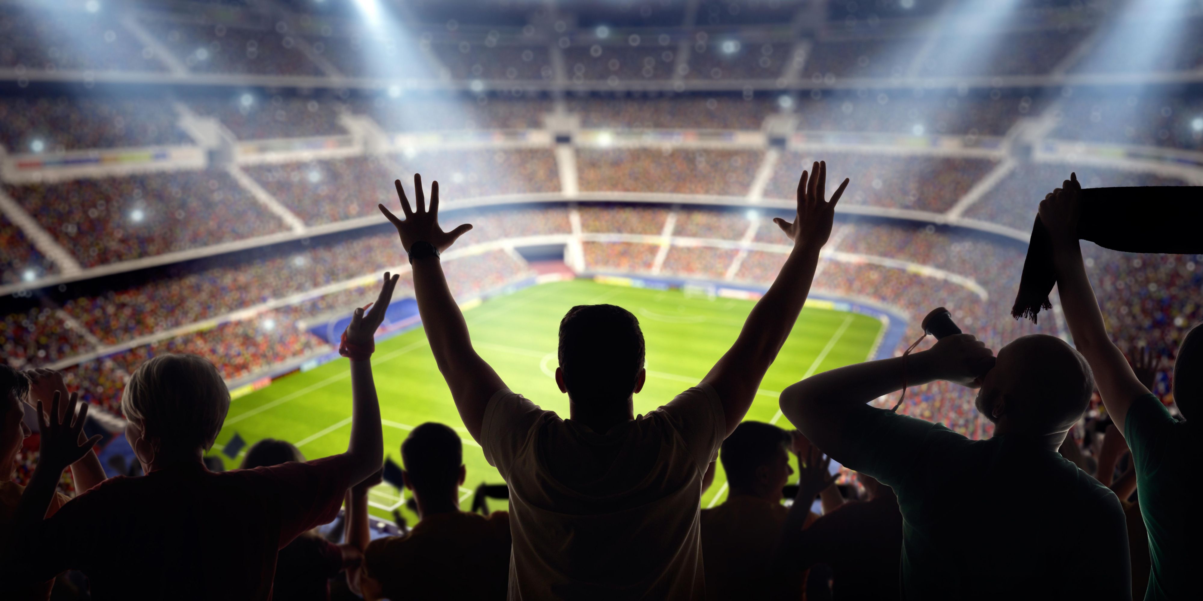 Fans cheering their favorite team