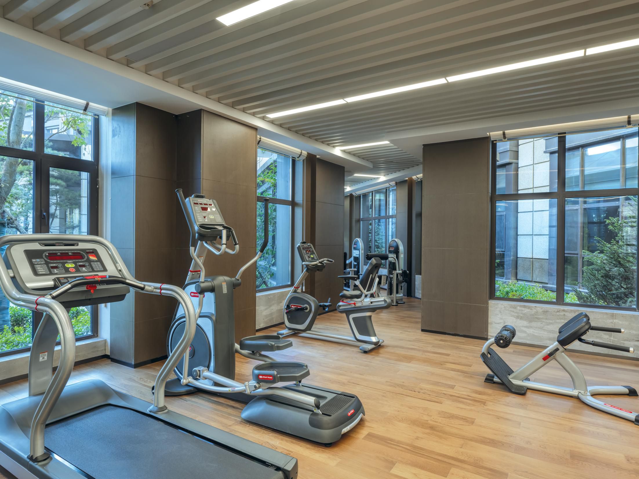 Gimnasio