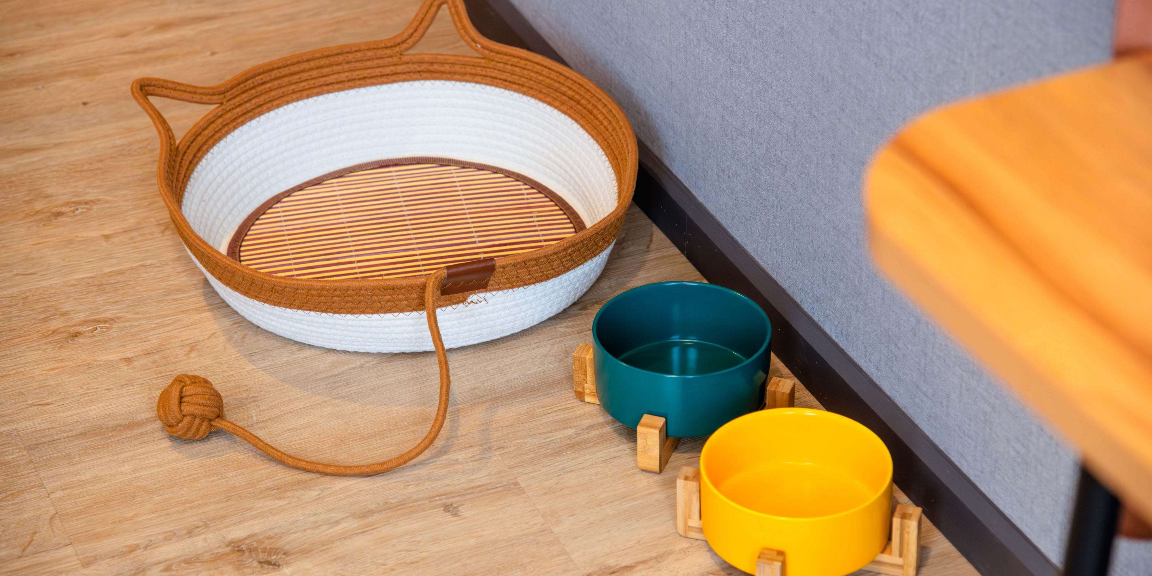 At voco Chiayi, your furry friends are more than welcome! Our pet-friendly rooms are specially designed for comfort and convenience, complete with cozy bedding, pet amenities, and easy access to outdoor areas. Enjoy a delightful stay where you and your pet can relax, play, and explore Chiayi together.