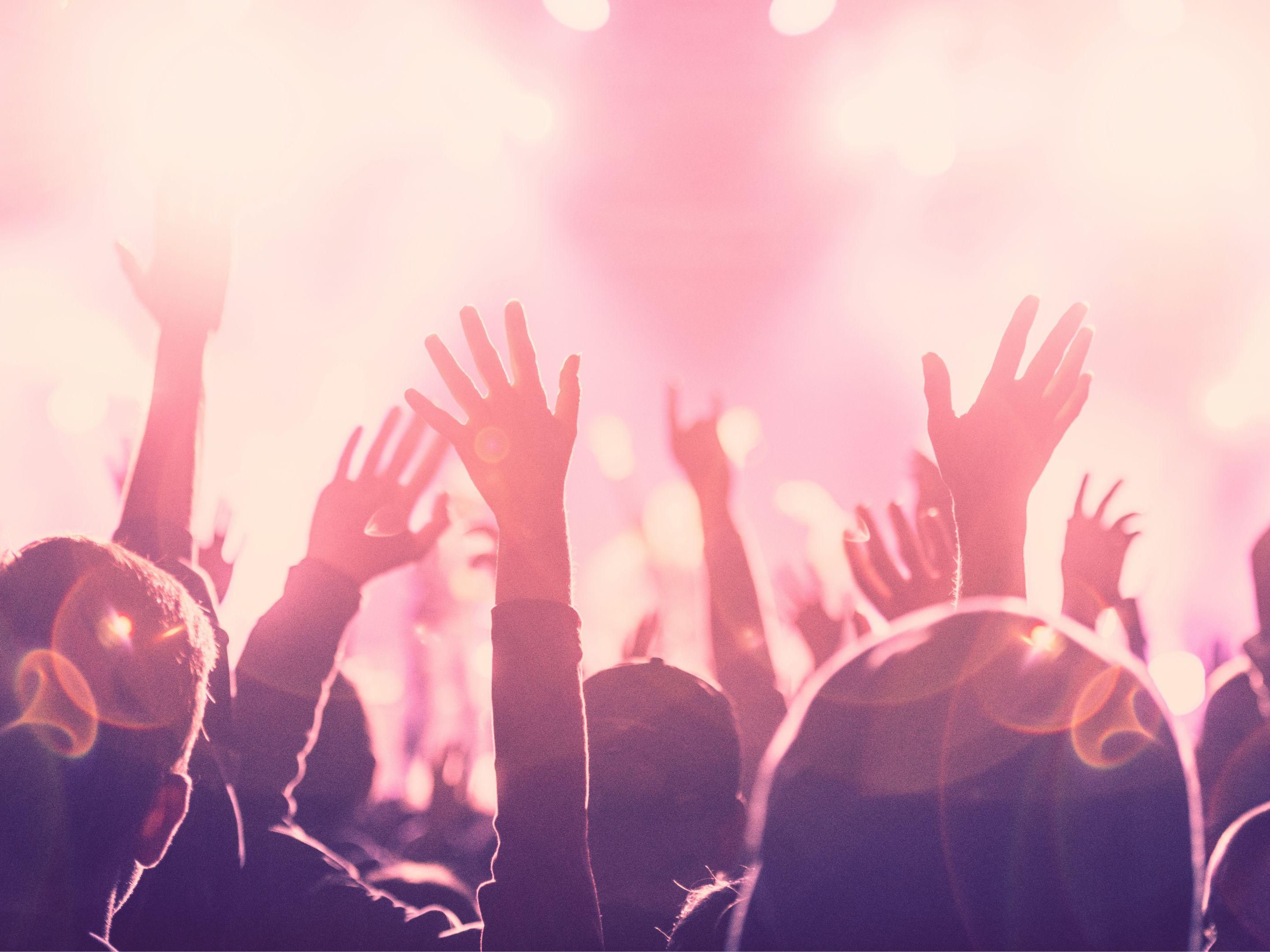 Fans enjoying concert