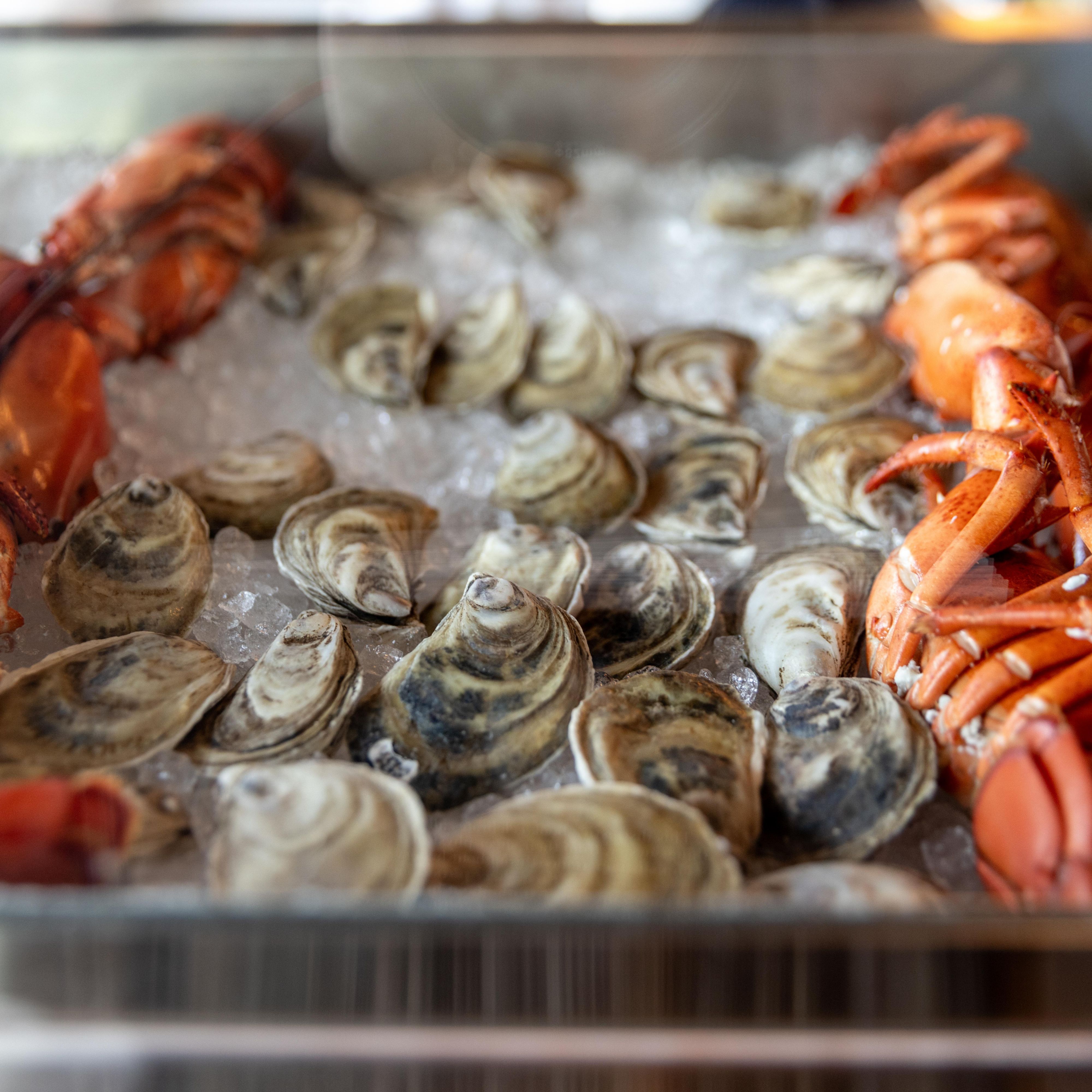 Oysters and crab layout
