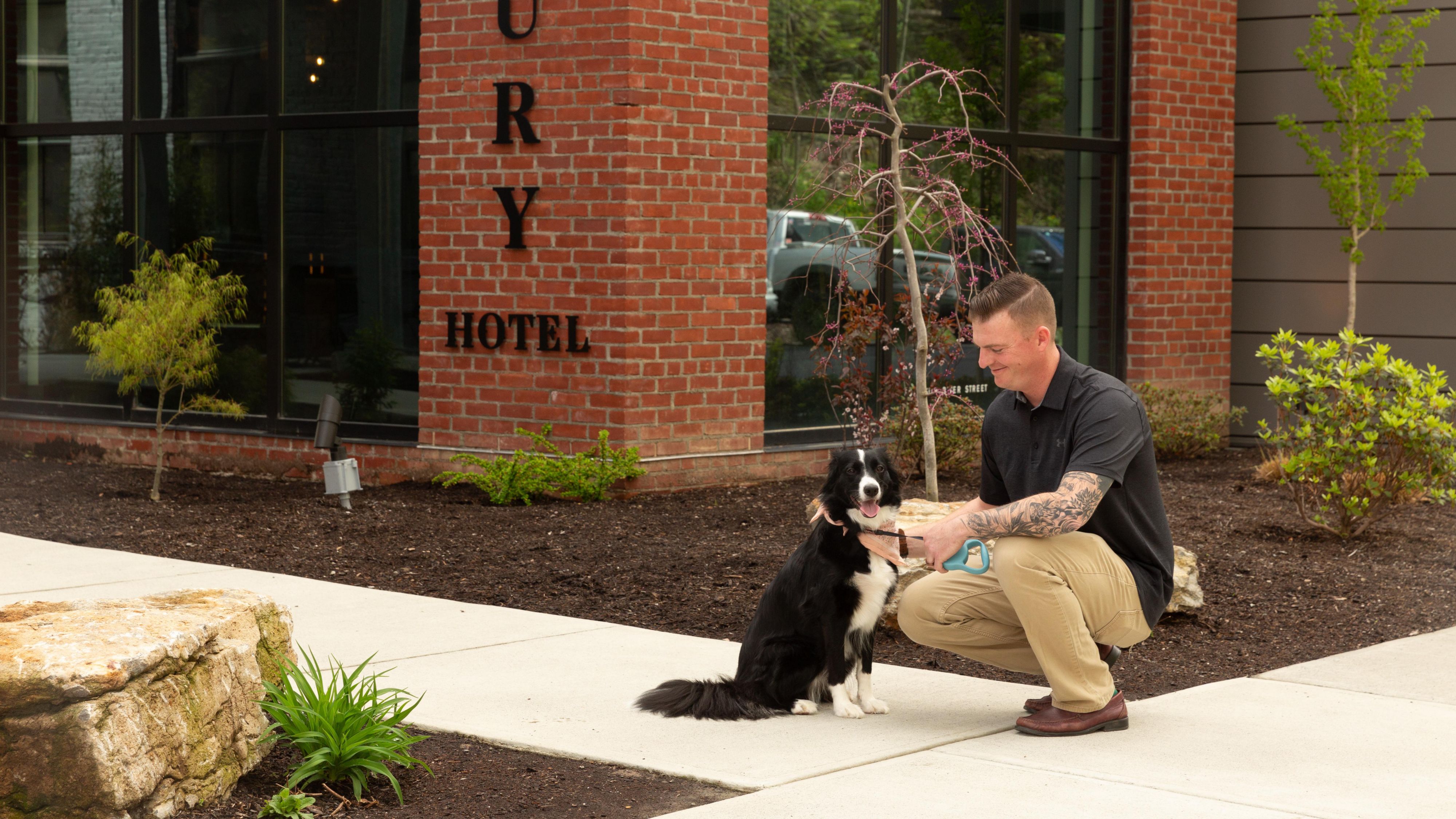 Dog and its owner outside hotel