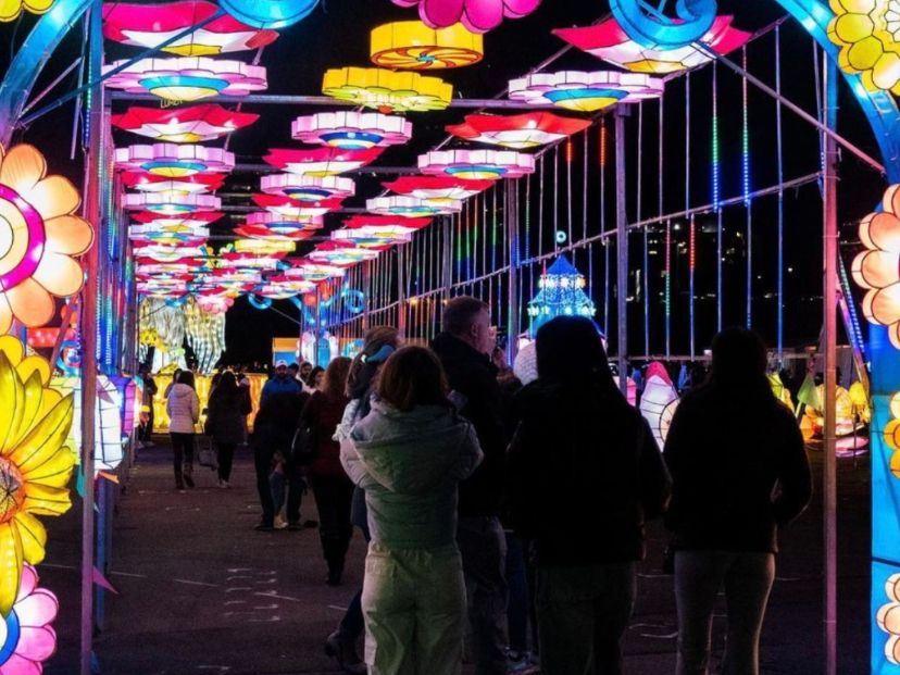 voco Fiorello Social Media