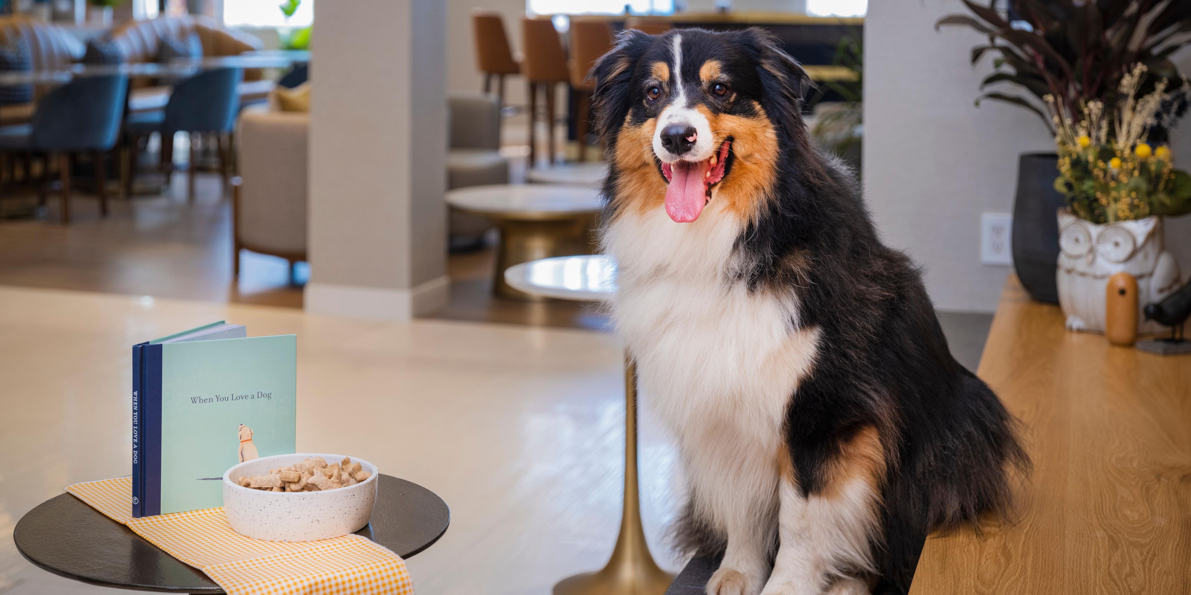 Bring your pet along for tail-wagging fun at our pet-friendly LaGuardia hotel. Inform us in advance about your canine companion, and we’ll ensure a comfortable stay for you and your beloved furry friend. We charge a one-time cleaning fee for each pet to maintain a pristine environment.