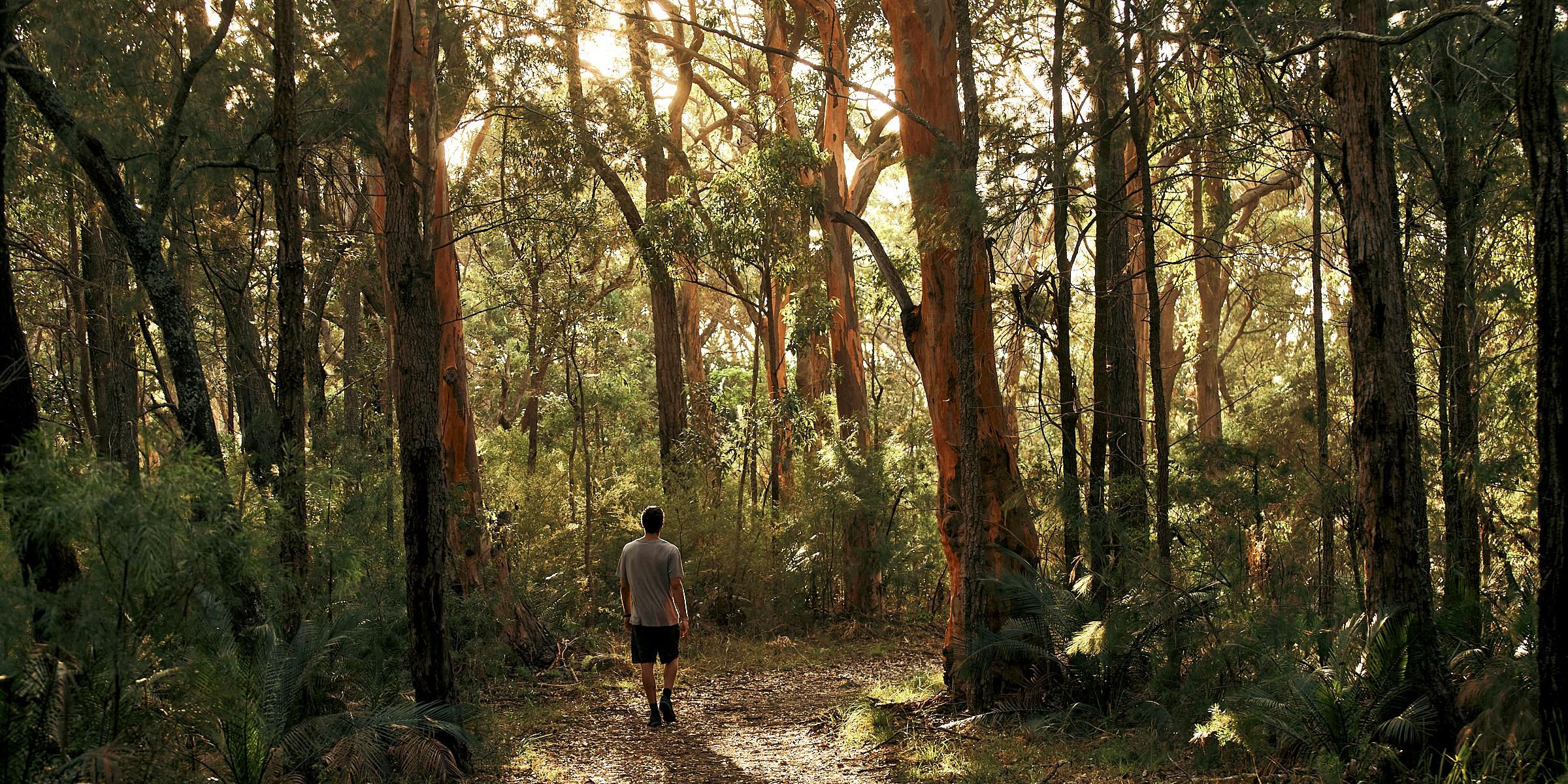 Los amantes de las actividades al aire libre pueden sumergirse en el exuberante paisaje del Parque Nacional Brisbane Water o relajarse con una tranquila caminata por la serena costa. Los interesados en la historia pueden descubrir los monumentos patrimoniales de la zona, mientras que los fanáticos de las artes pueden disfrutar explorando las interesantes exhibiciones de la Galería Regional de Gosford.
