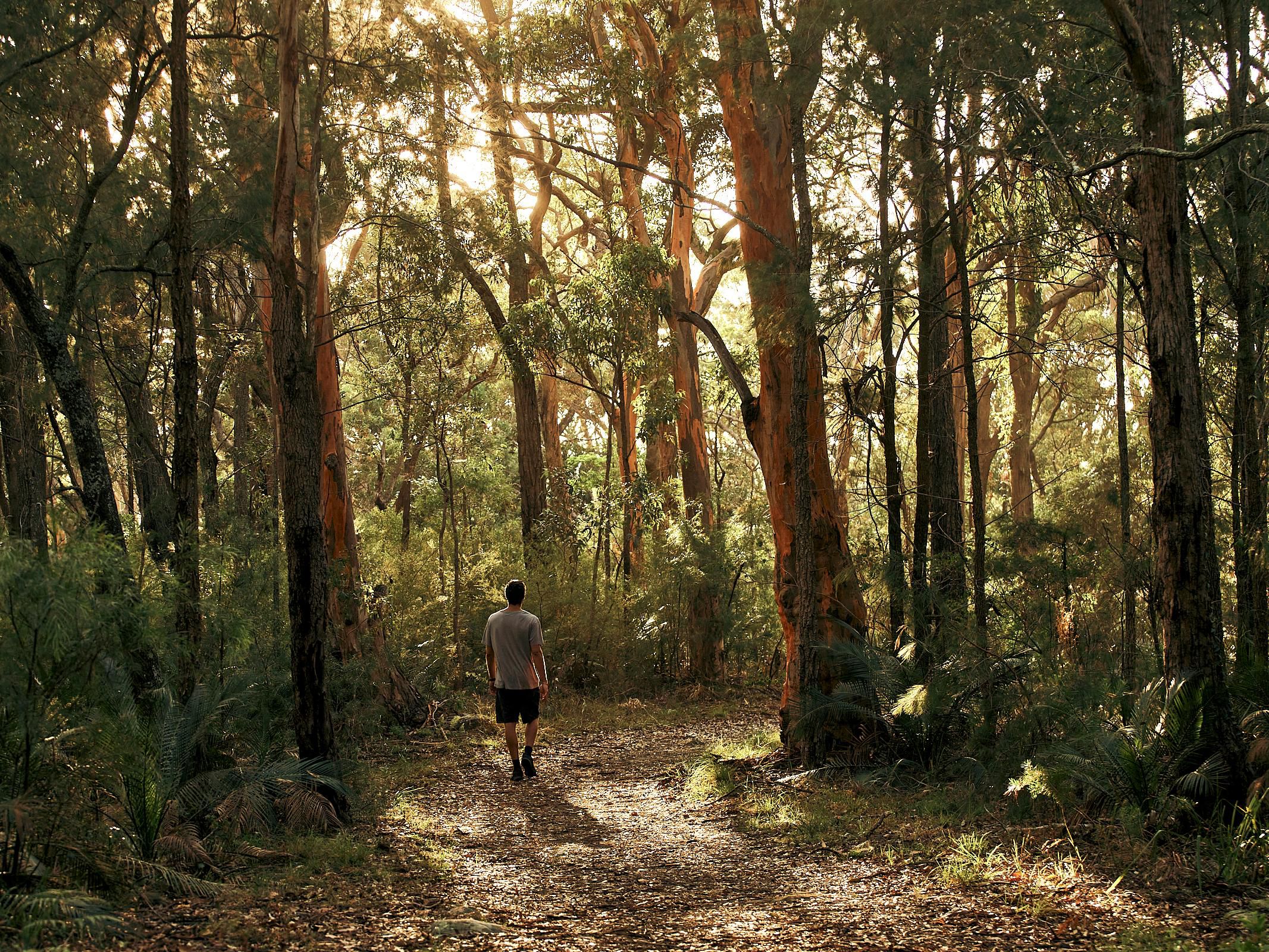 Outdoor lovers can immerse themselves in the lush scenery of Brisbane Water National Park or unwind with a peaceful walk along the serene coastline. Those interested in history can discover the area’s heritage landmarks, while fans of the arts may enjoy exploring the engaging displays at the Gosford Regional Gallery.