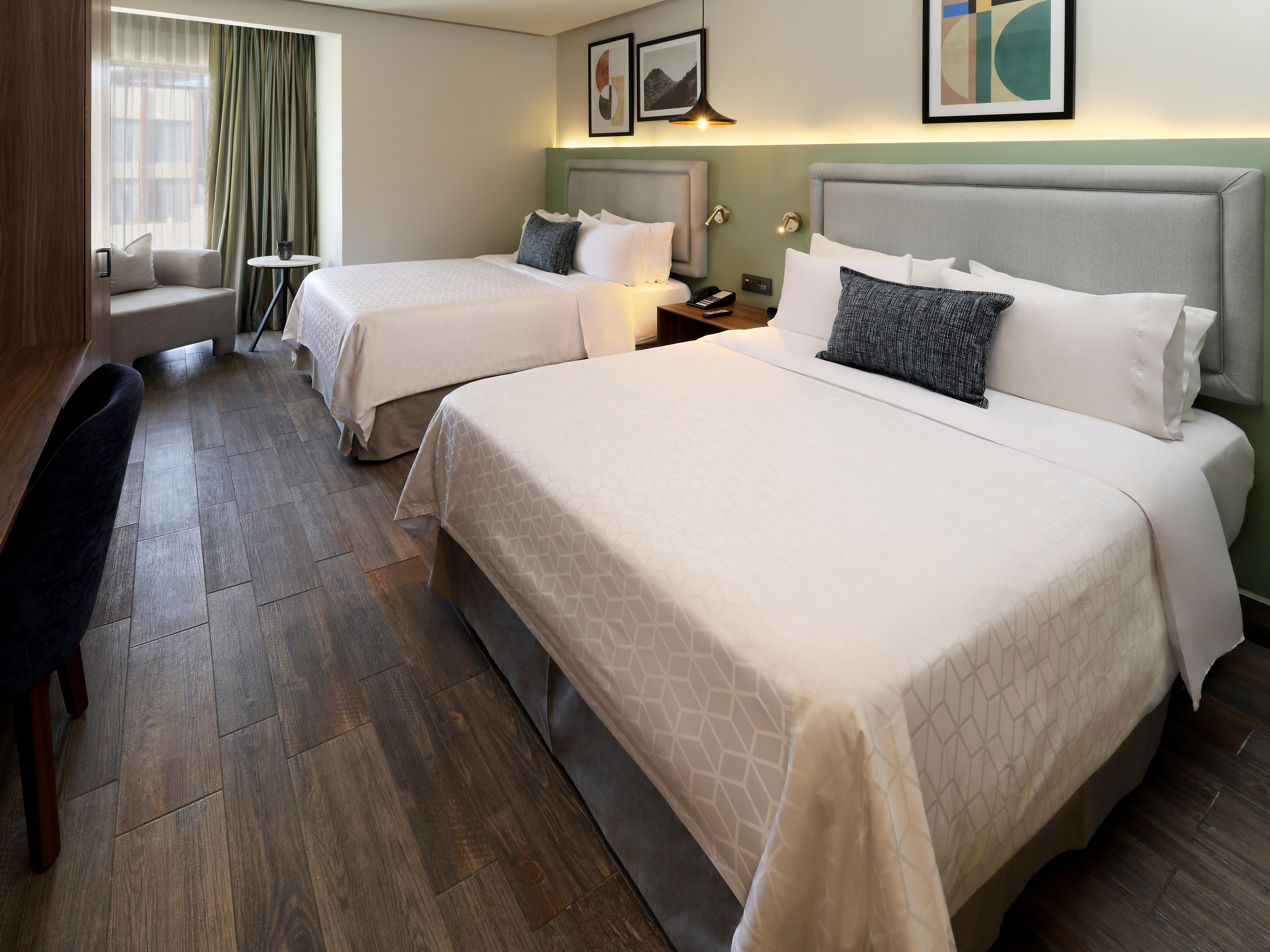 Habitaciones Pet Friendly para que disfrutes la estancia con tu mascota.