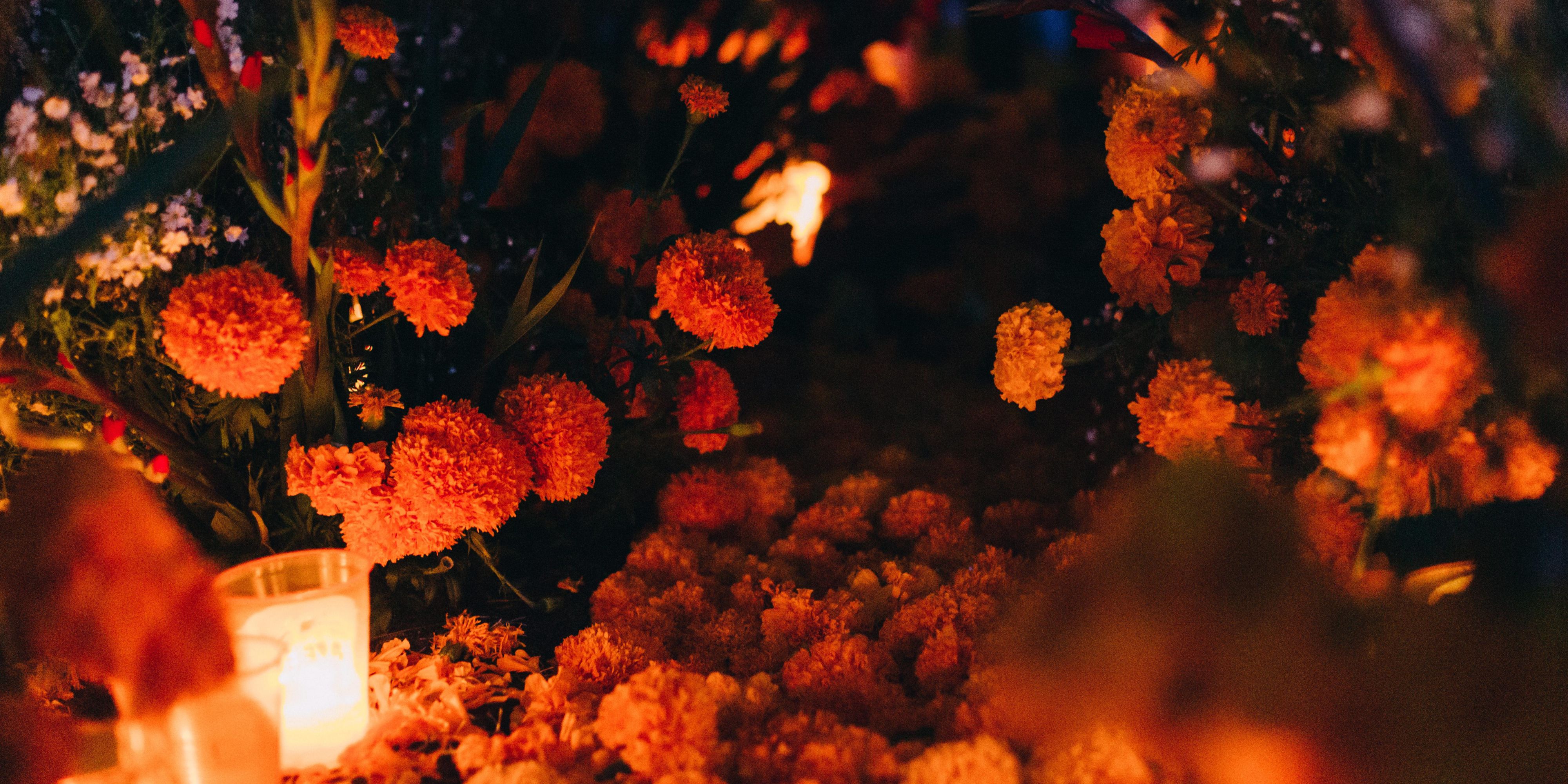 ¡Día de Muertos es una celebración de vida y la tradición que nos une! Queremos que te sientas como en casa, rodeado de un ambiente cálido y lleno de significado. Ven a hospedarte con nosotros y disfruta de un lugar donde la cultura y la hospitalidad se encuentran.