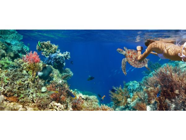 voco-ihg-blog-2628x1141