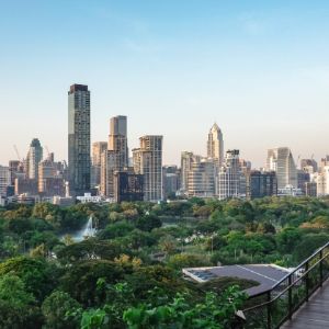 City skyline overlooking a lush park and fountain.