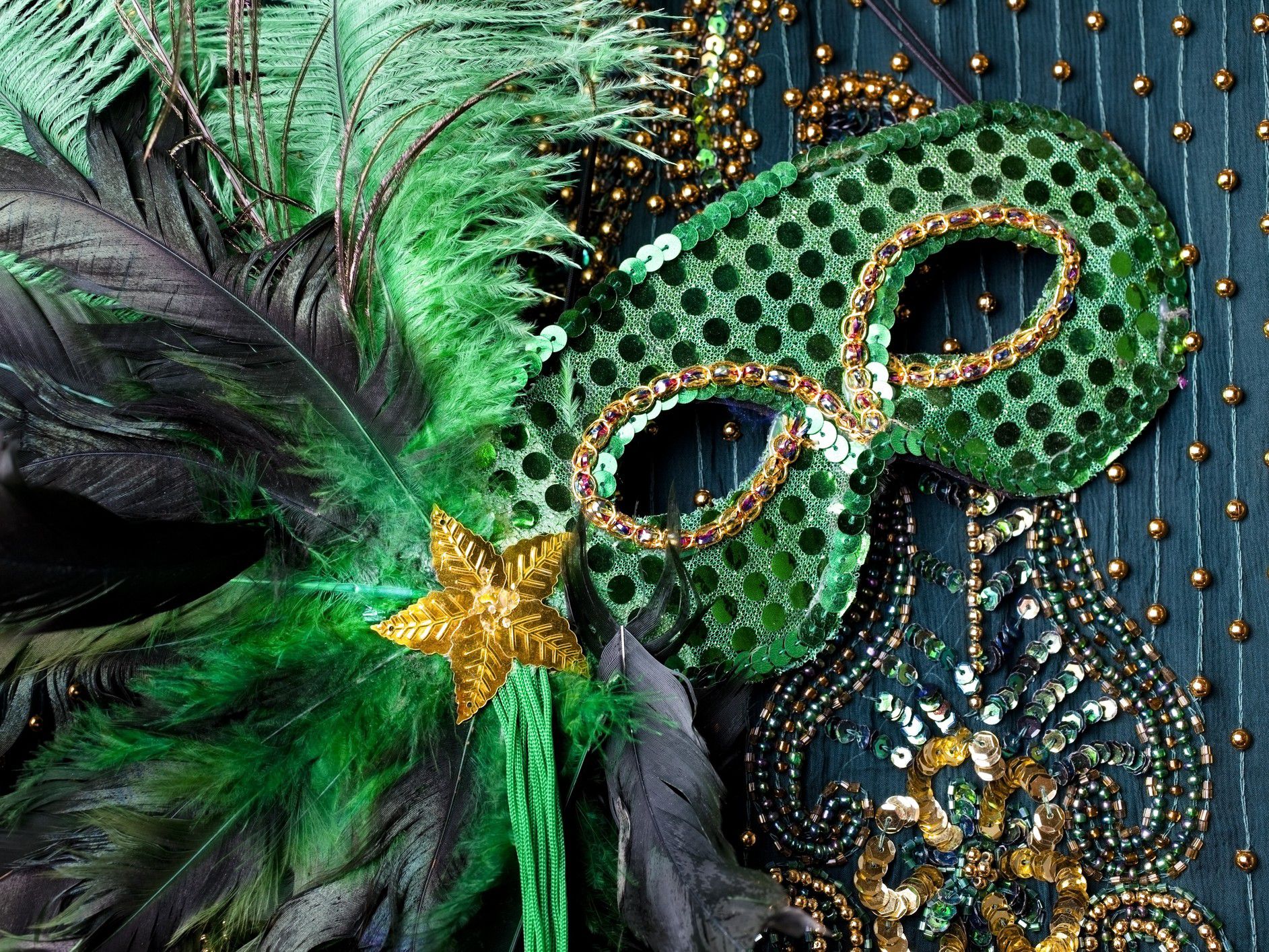 Mardis gras mask and feathers