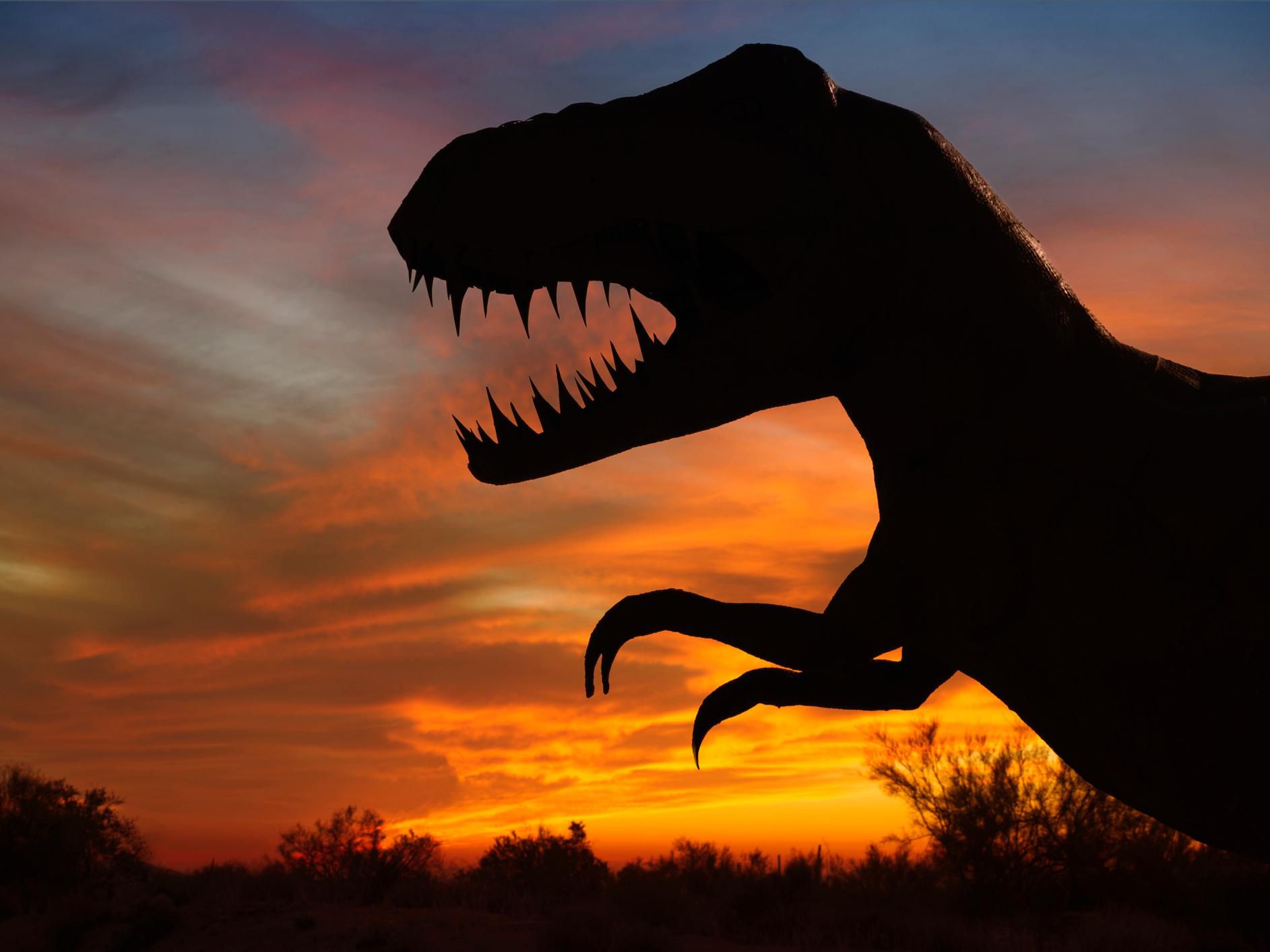Dinosaur shadow at sunset in park