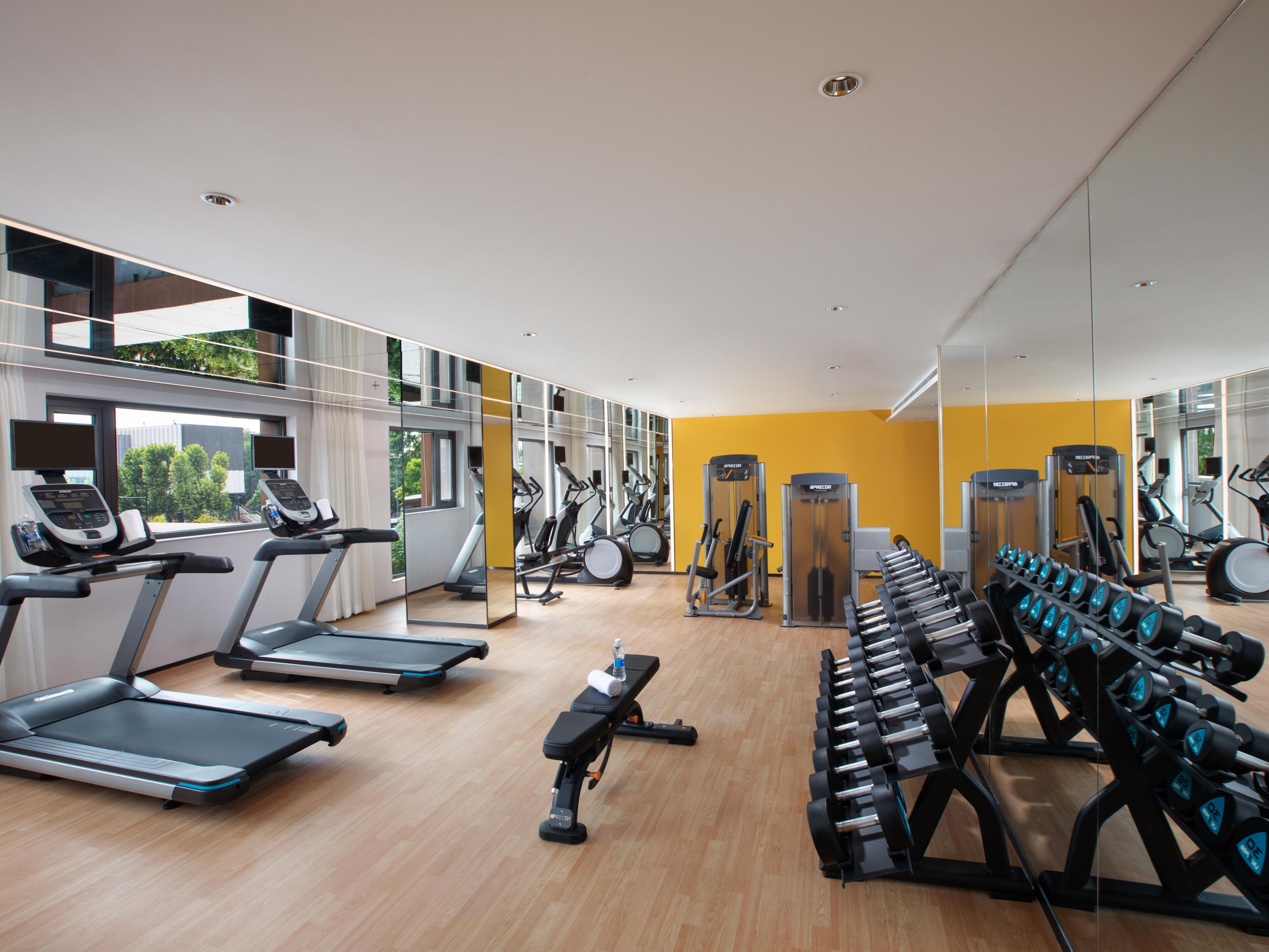 Gymnasium