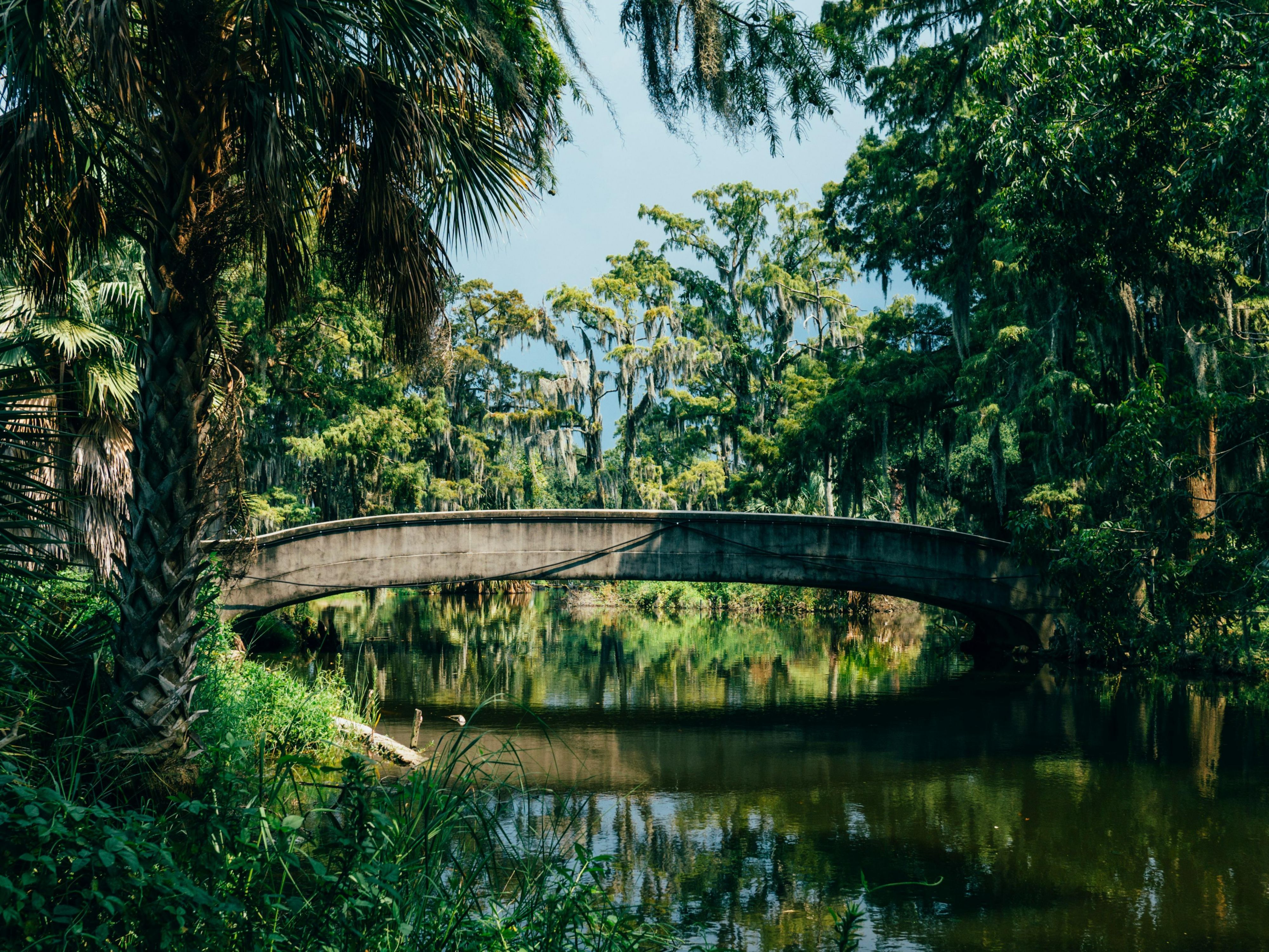 Enjoy a stroll through New Orleans City Park 