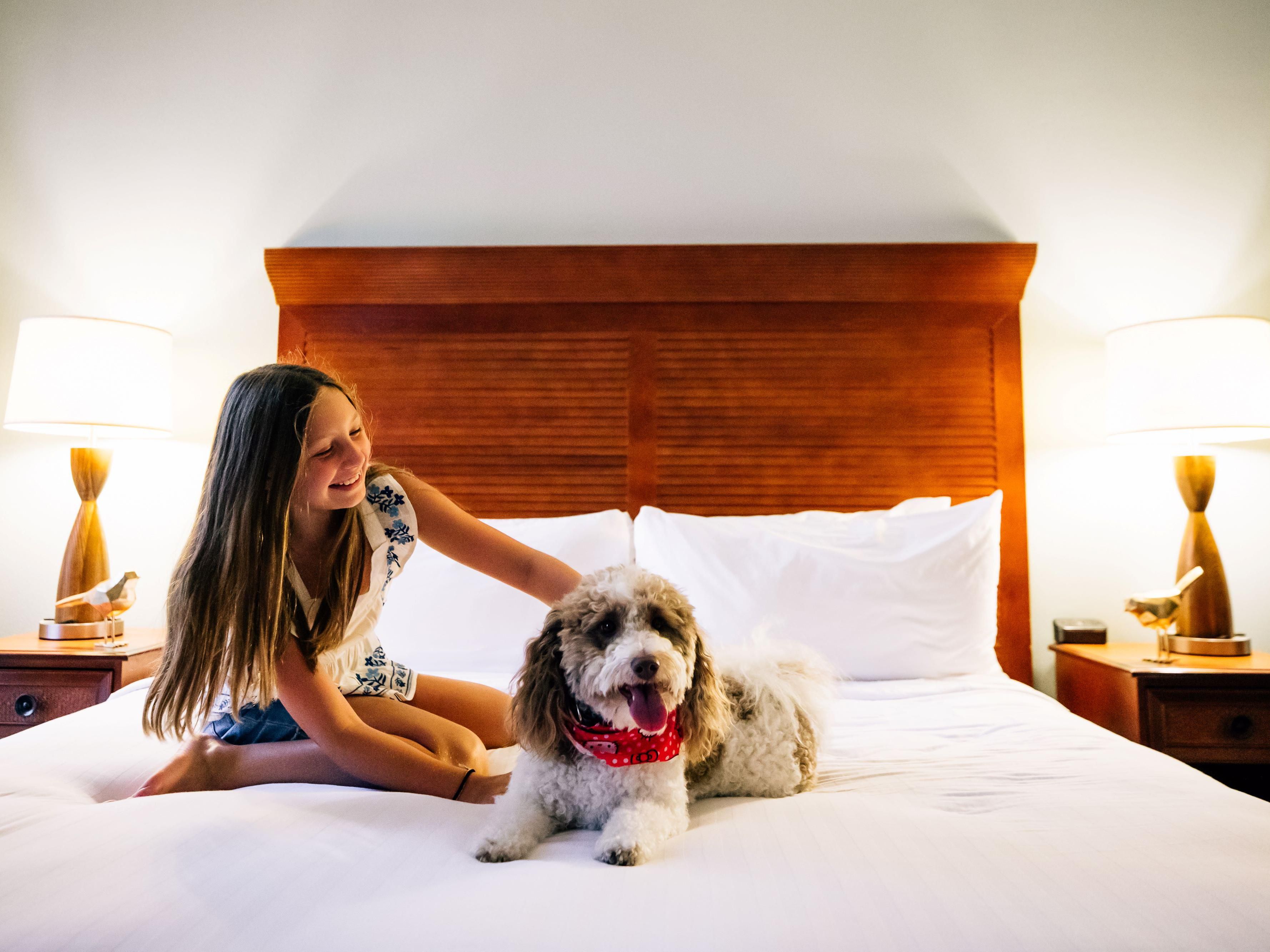 We welcome you and your four-legged friend to enjoy a tail-wagging good time in New Orleans! Our pet-friendly hotel offers everything you and your pet need for a relaxing stay. Plus, our team is happy to share the best areas to explore with your furry friend, including parks and dog-friendly restaurants.