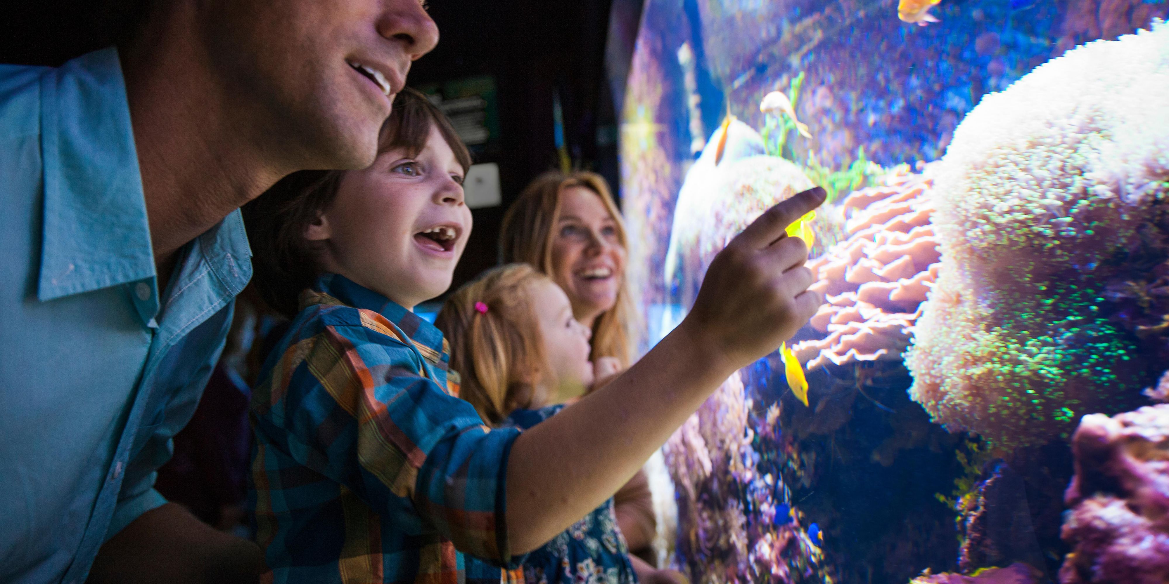 Nestled in the heart of downtown Niagara Falls, our hotel is a short walk to the magnificent falls. Enjoy easy access to the most popular parks and attractions near our hotel, including Niagara Falls State Park, Whirlpool State Park, the Aquarium of Niagara, and Old Fort Niagara. 