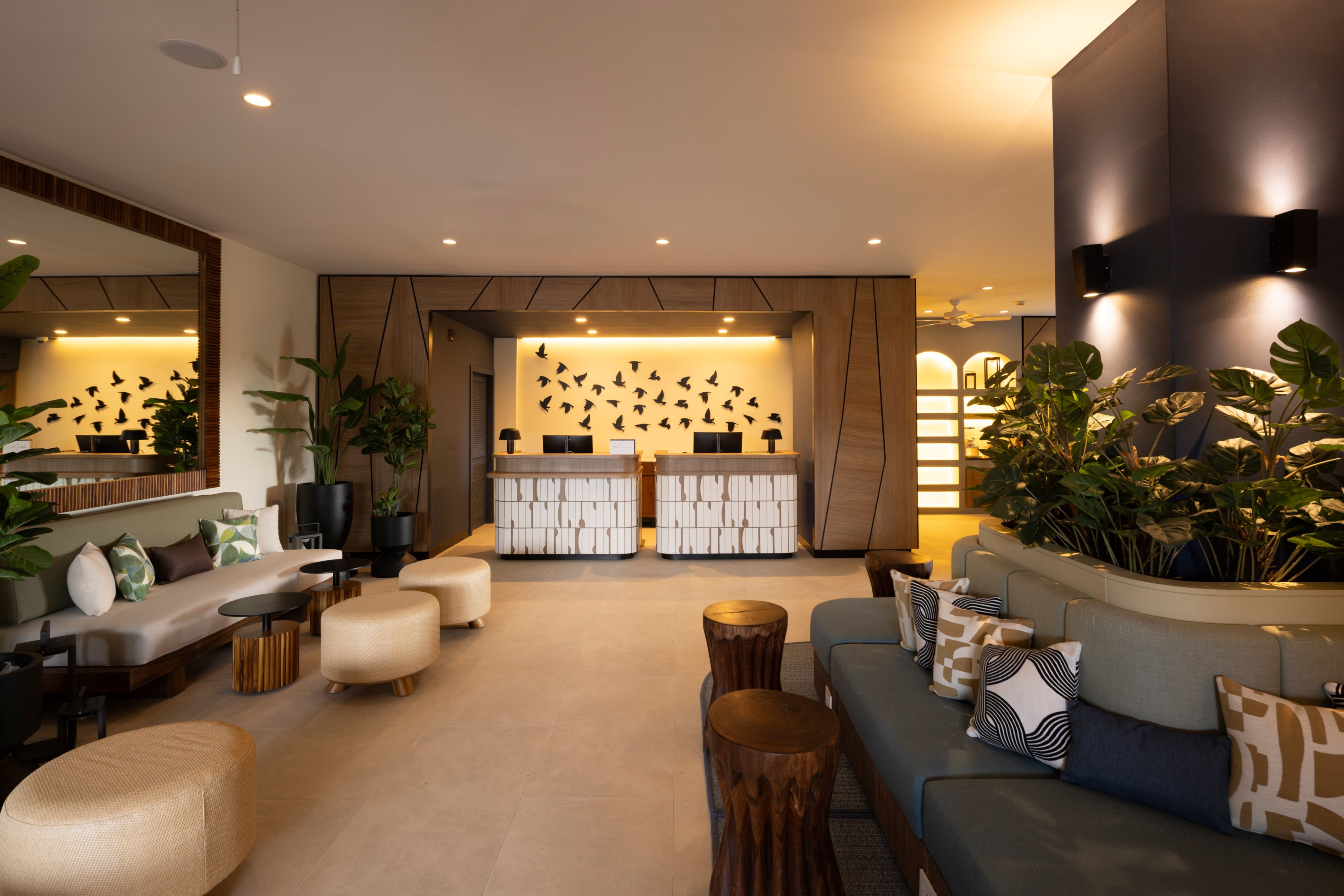 阿鲁巴冲浪边voco