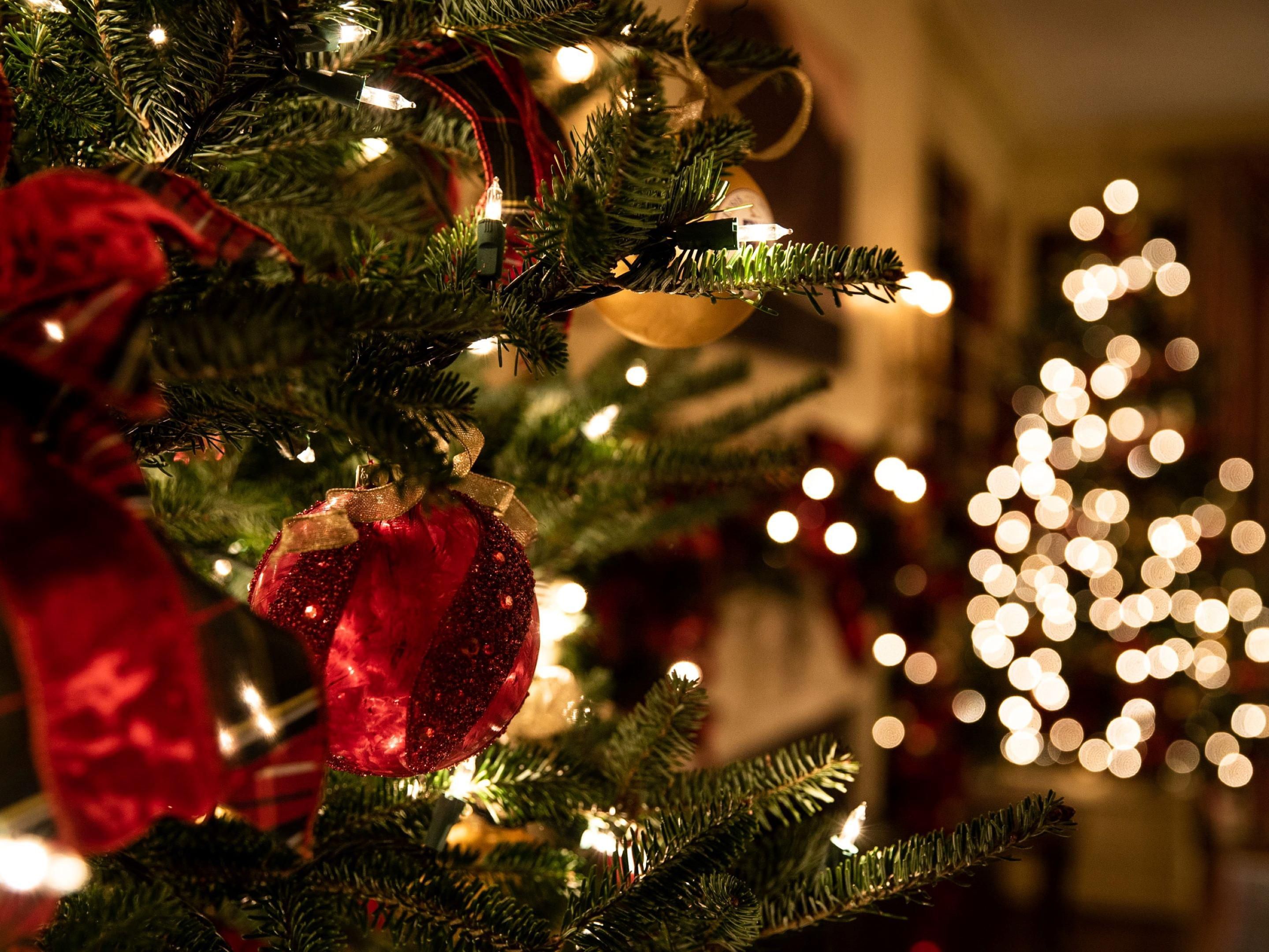 close up to a christmas tree with red decor and fairy lights